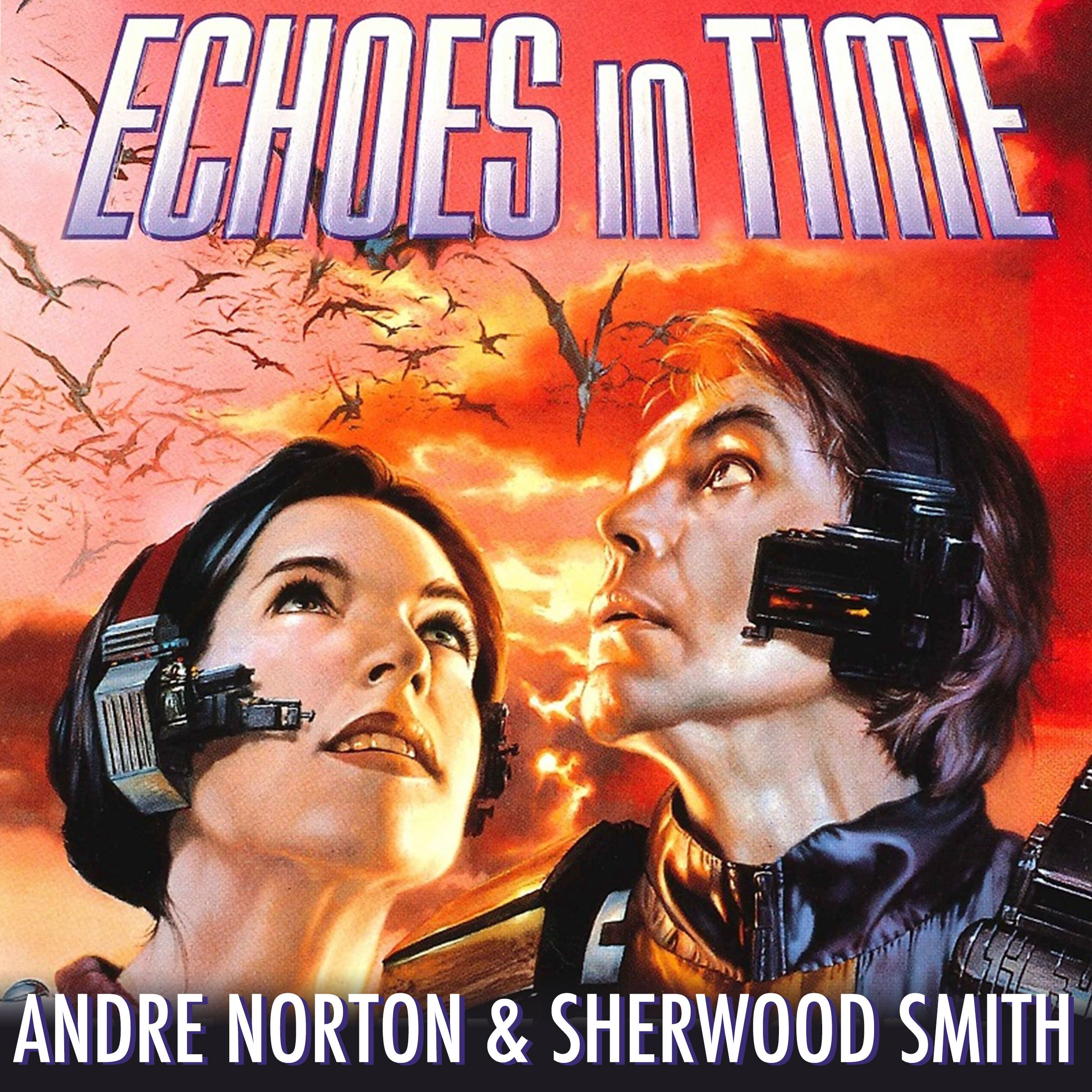 Cover art for Echoes in Time