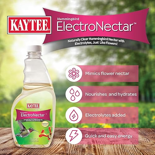 Miniatura 9 de Kaytee - Electro néctar de colibrí salvaje listo para usar 64 onzas