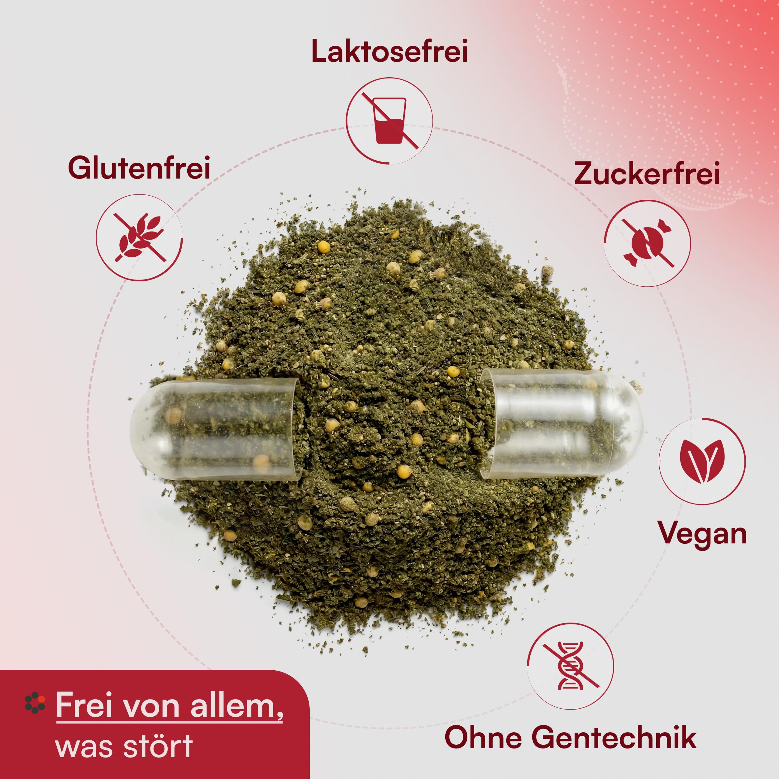 Eisen + C Intercell (90 Kapseln) - mit 30mg Eisen+ hochdosiert und 160mg Vitamin C (8h Retard-Effekt) - besonders hohe Bioverfügbarkeit durch spezielle Aminosäureverbindung - im Schutzblister