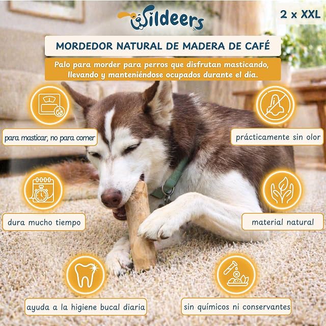 Foto 2 de 8 de Wildeers Palo de Café para Perro, Resistente, Talla XXL, 20-22 cm, 2 uds