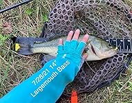 Review Image by KM KM