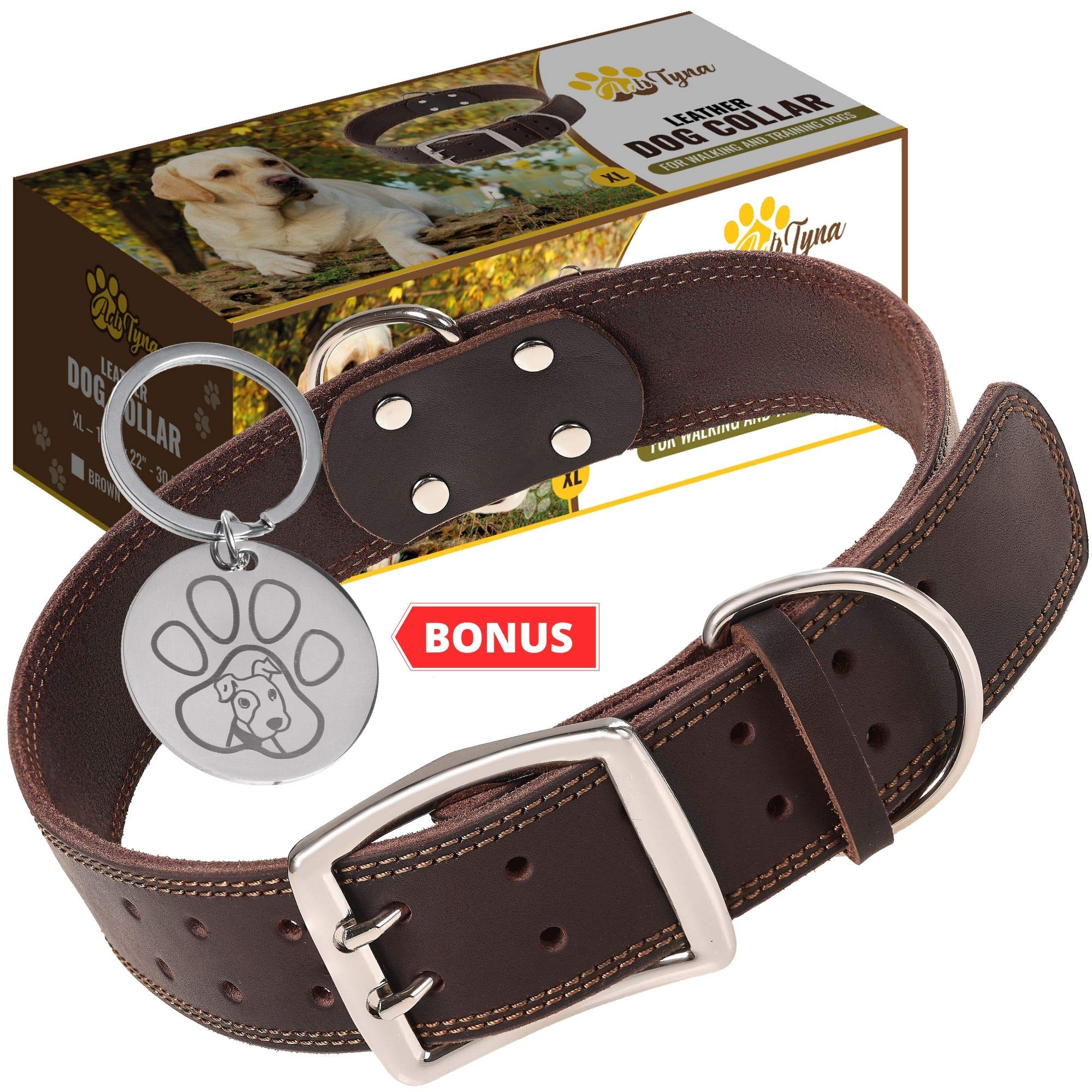 beagle cross retriever