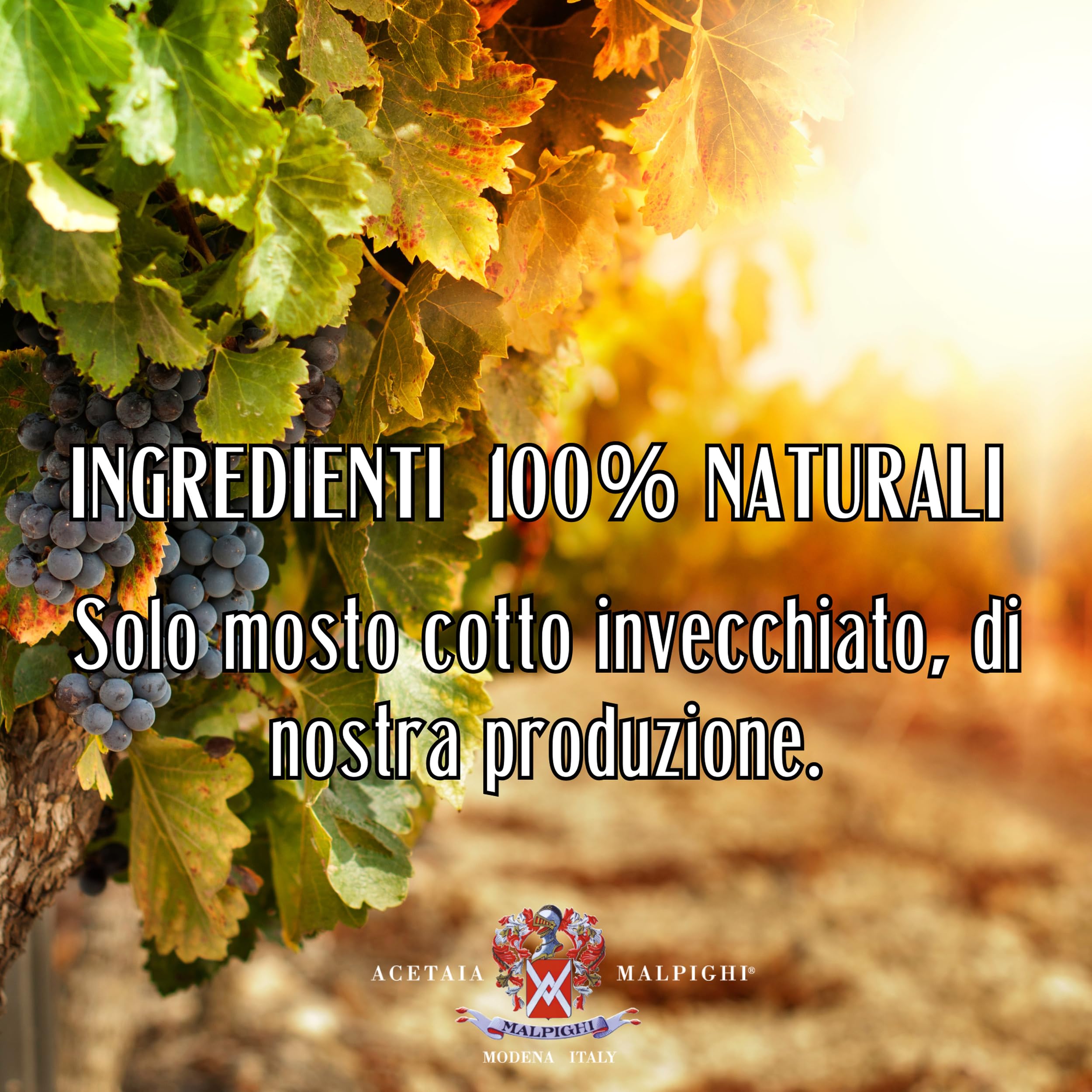 Acetaia Malpighi – Tradycyjny ocet balsamiczny z Modeny DOP Extravecchio Secolare – 100 ml – Tylko gotowany moszcz – Selekcja dla wysokiej gastronomii