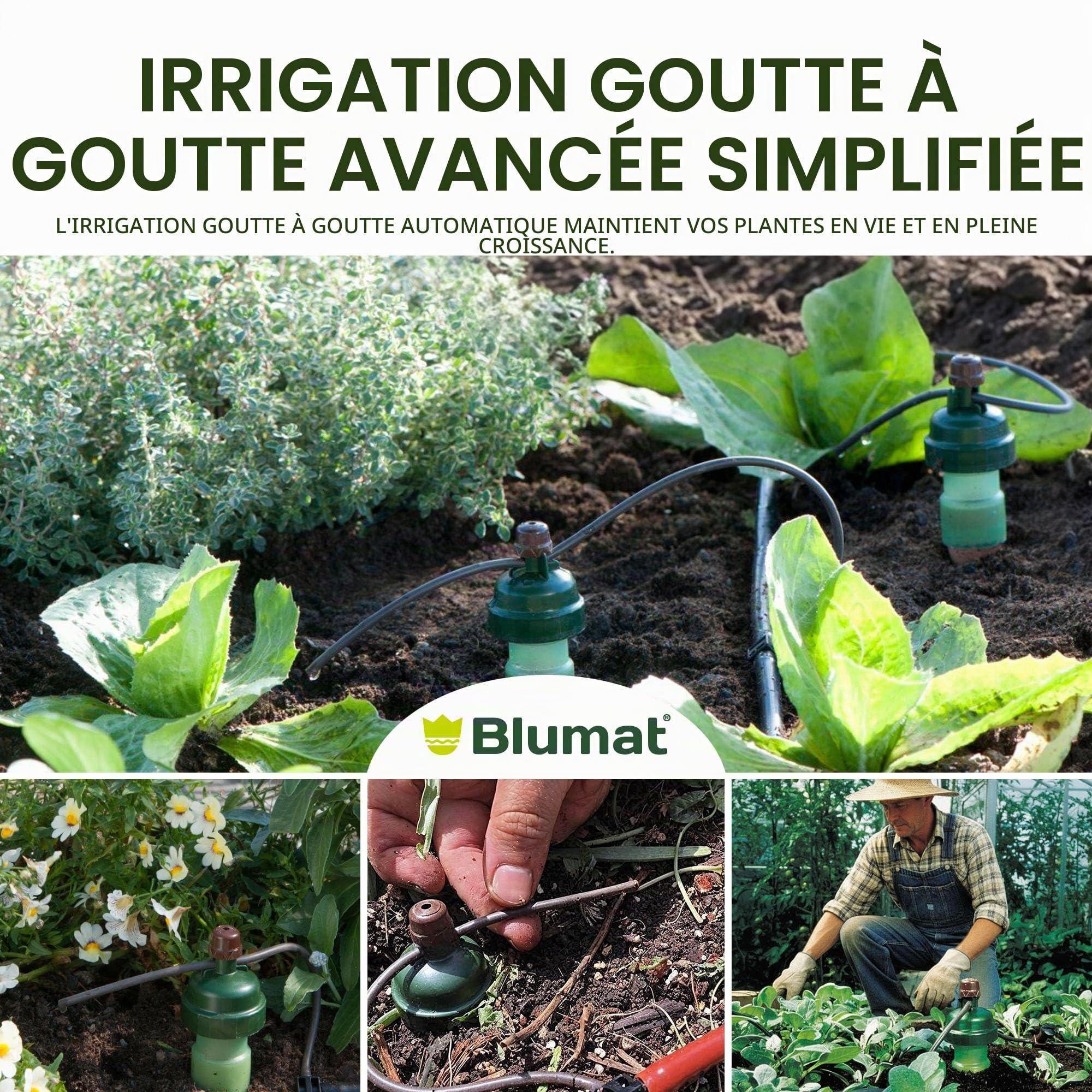 Blumat Système d'irrigation goutte à goutte - Tropf Medium Box - Dispositifs d'arrosage automatique pour jardin, terrasse et paniers suspendus - Système d'arrosage jusqu'à 12 plantes - Hydratation
