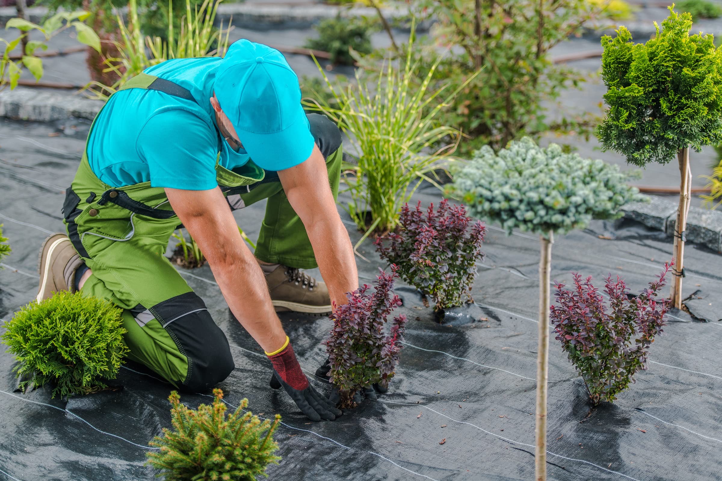 Malla antihierbas - 1'05 x 100 Metros - 105 gr/m2 - Tela Antihierbas Jardin Negra con Cuadros guía - Manta Antihierbas de Plástico para Huerto - Protección UV hasta 5 Años