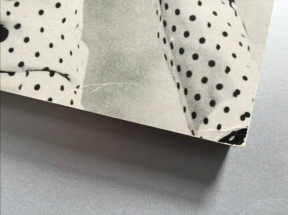 PRINCE　プリンス　A Documentary by Per Nilsen Prince: A Documentary: Per Nilsen: 9780711931794: Amazon.com