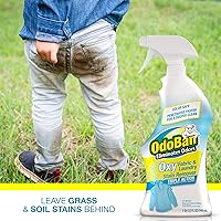 Vista 4 de OdoBan Removedor de manchas de tela Oxy listo para usar, para lavandería, 32 onzas, paquete de 2