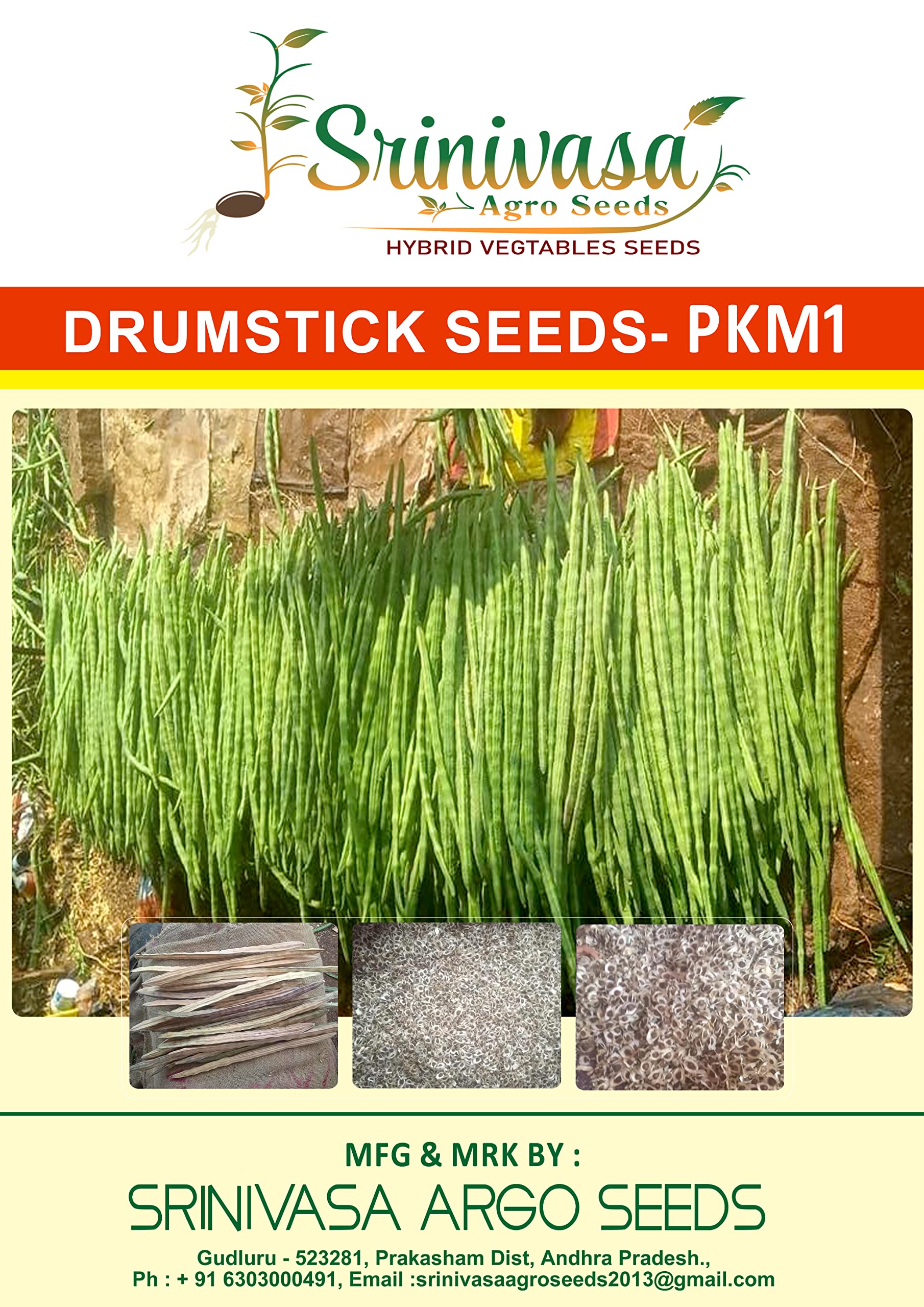 Srinivasa Agro Seeds Moringa/Drumstick Seeds, 100 g (PKM1) (B09VSHQC84) Amazon Price History, Amazon Price Tracker