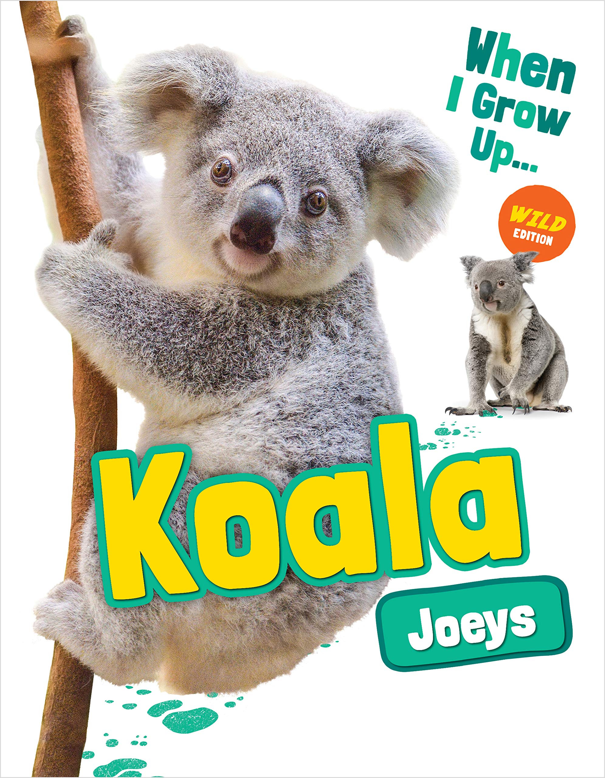 Koala Joeys (When I Grow Up... Wild Edition)