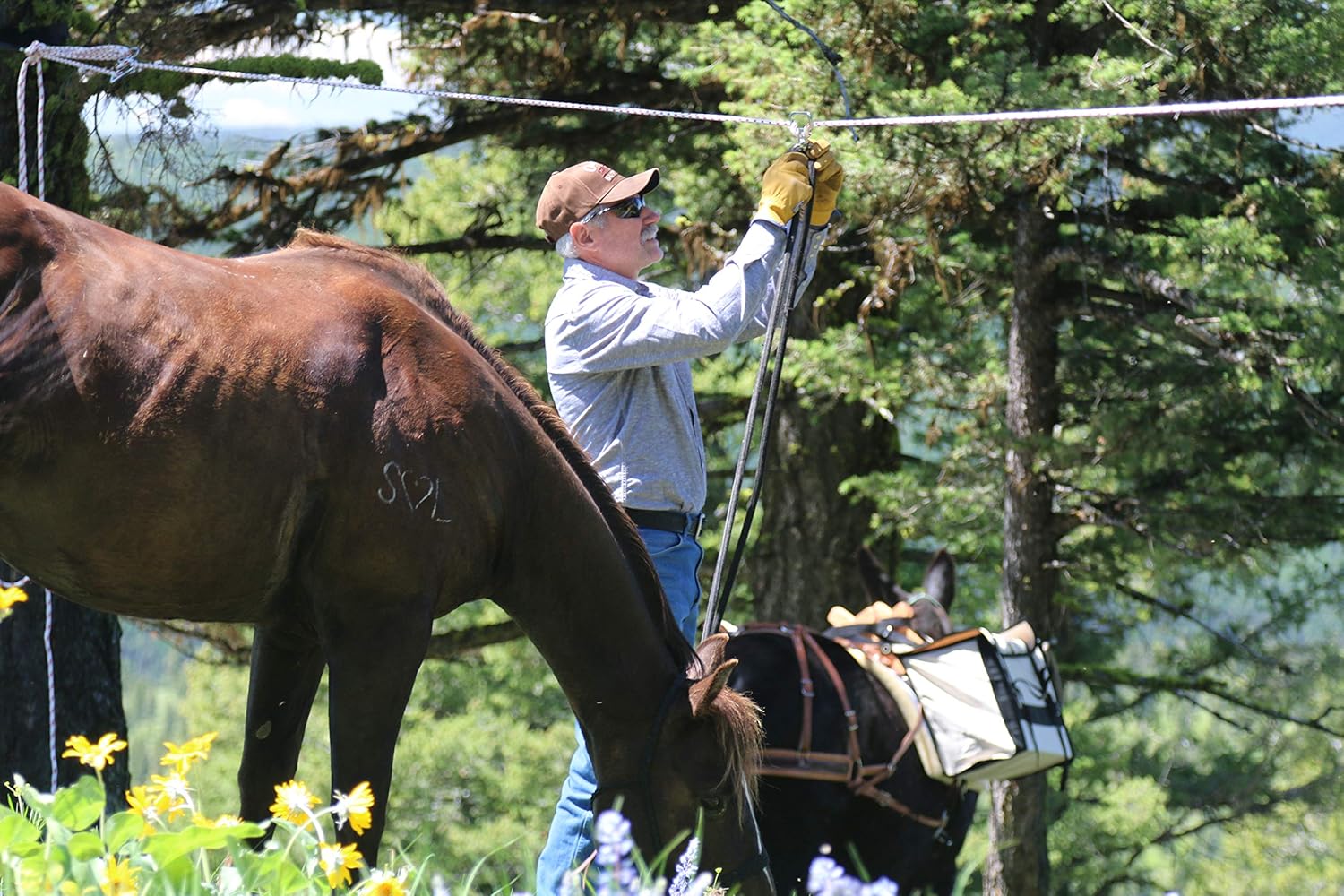 TrailMax Highline Rope, Secure 4-5 Horses in Your Back-Country Camp or Around The Ranch, 100 Feet of 3/8" Multi-Filament Solid Braid Polypropylene Rope with Red Tracers