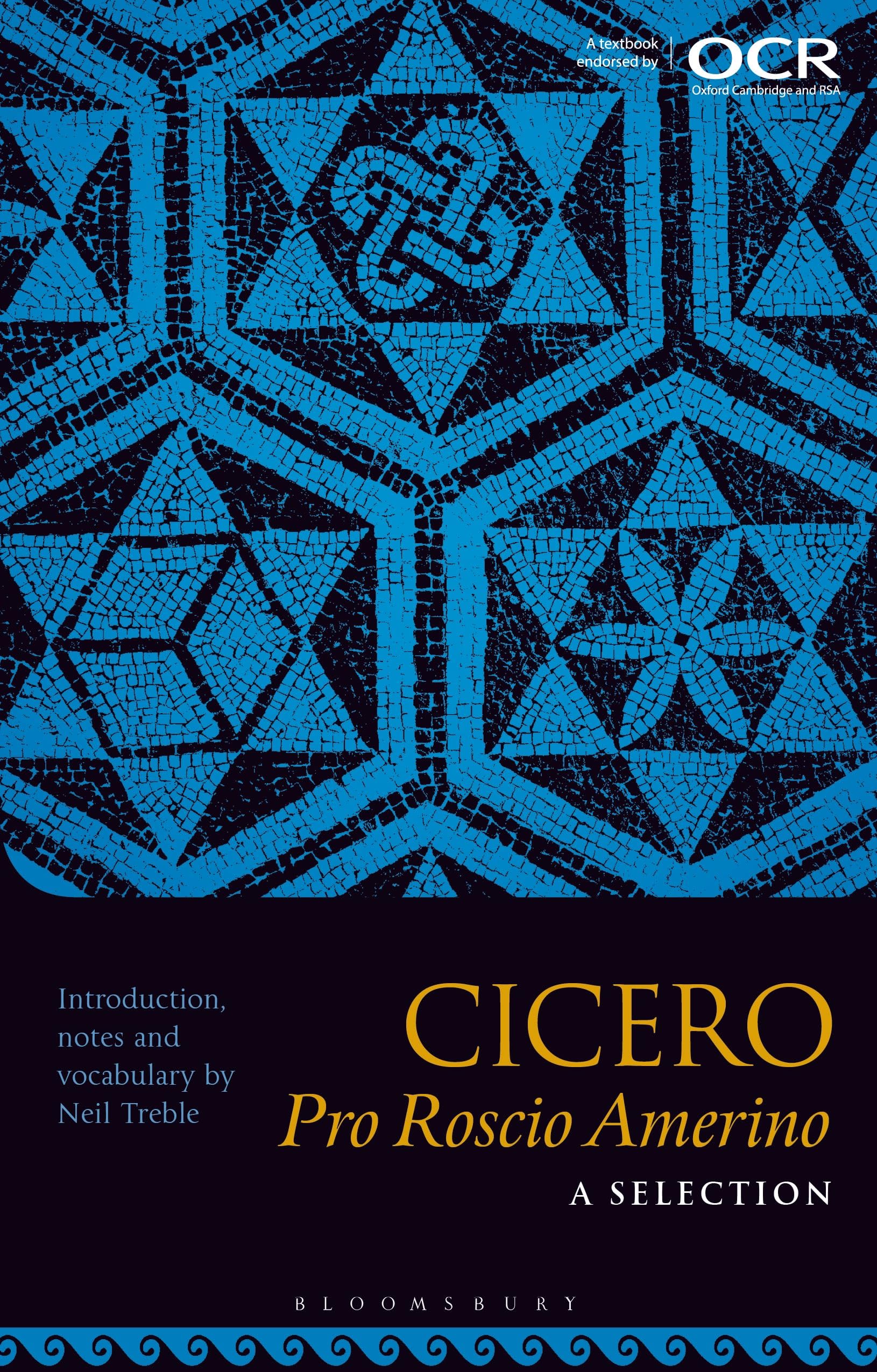 Cicero Pro Roscio Amerino: A Selection: Amazon.co.uk: Neil