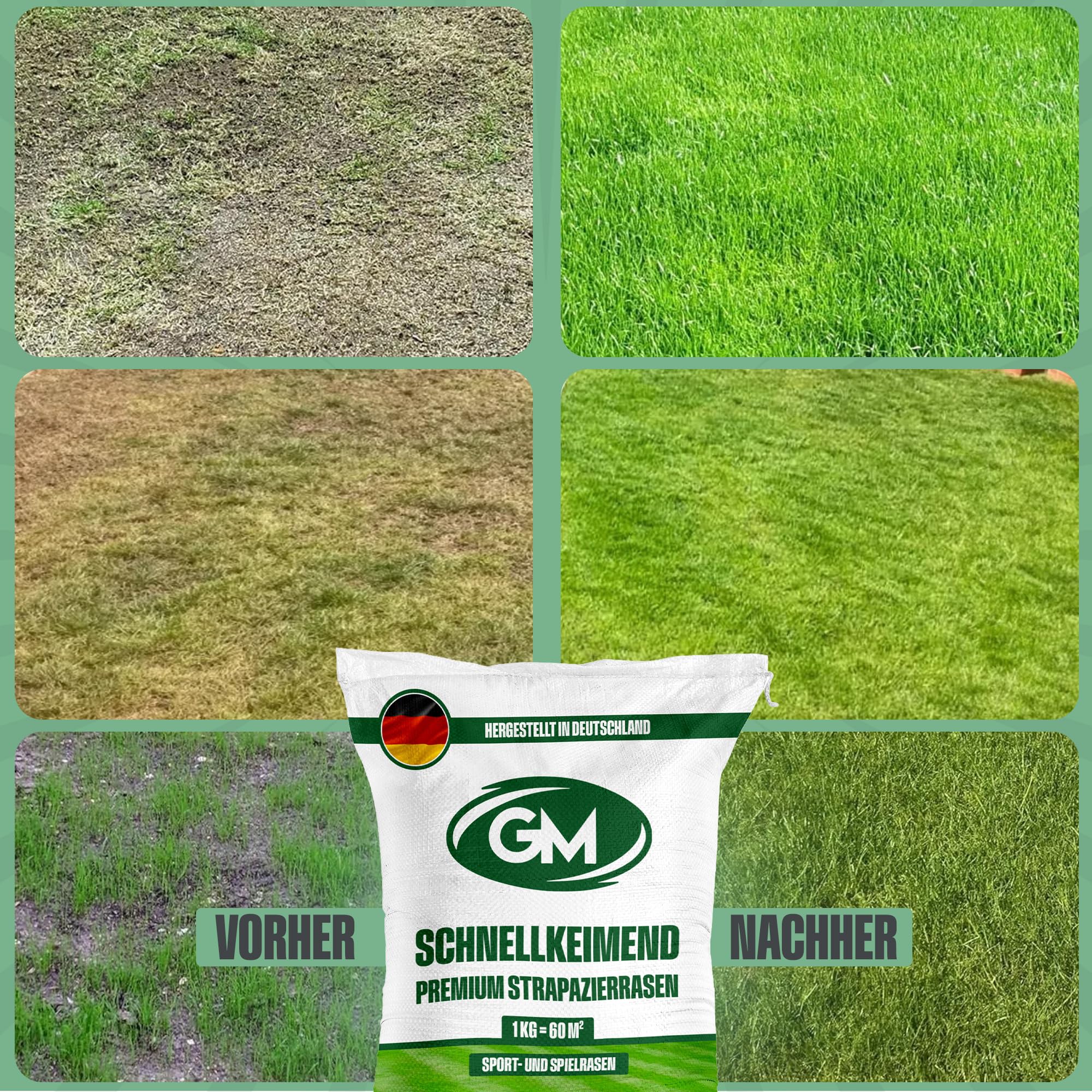 GroundMaster Semillas de césped para jardín resistente y duradero de primera calidad. Disponible en varios tamaños.