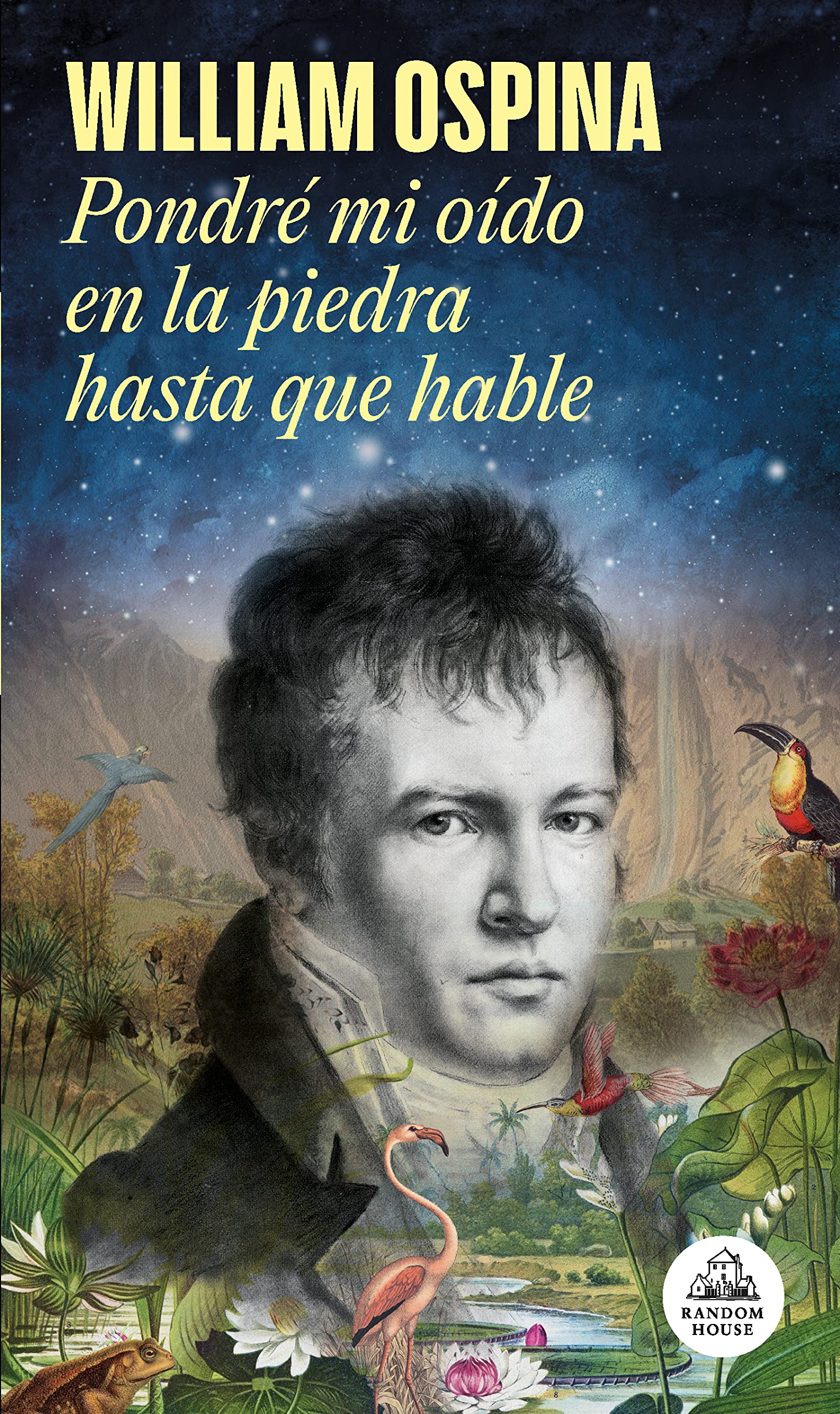 Pondré mi oído en la piedra hasta que hable (Spanish Edition)