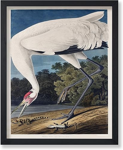 Miniatura 7 de Poster Master Póster vintage de colibríes, impresión de formas de arte retro en la naturaleza, arte de pájaros, regalo para él, ella y amante de los