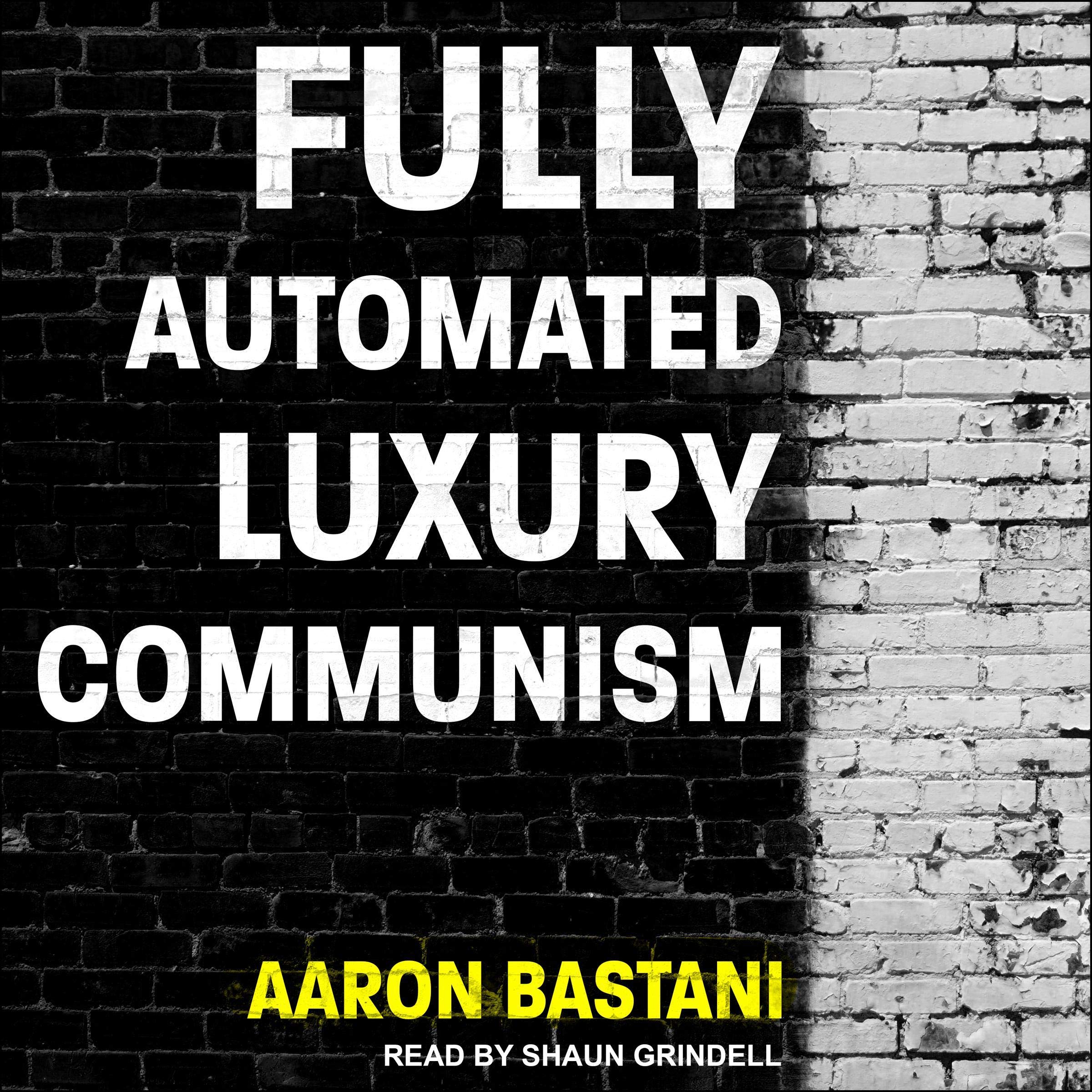 Cover art for Fully Automated Luxury Communism