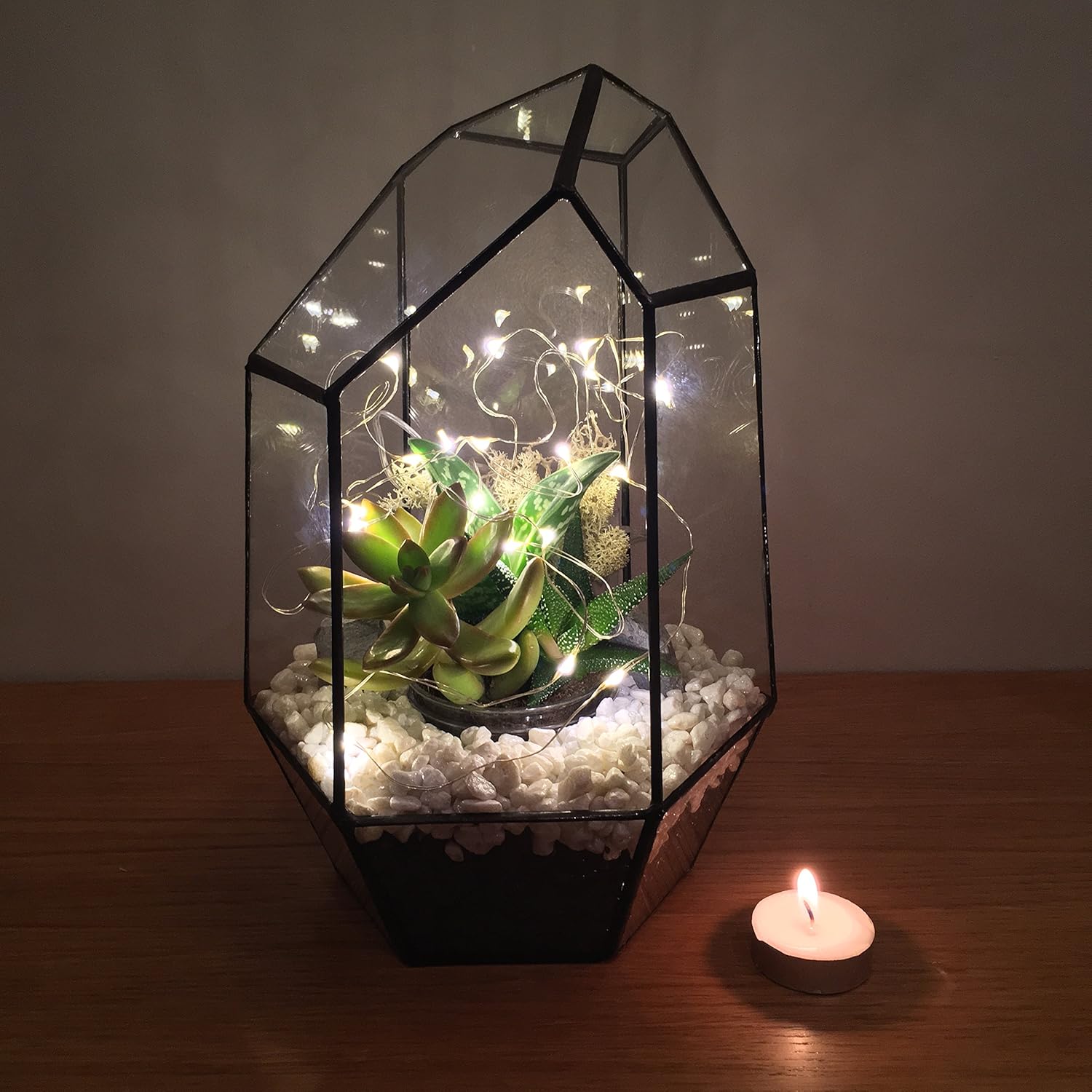GEM TERRARIUM with LIVE SUCCULENT PLANTS and LED FAIRY LIGHTS. Supplied