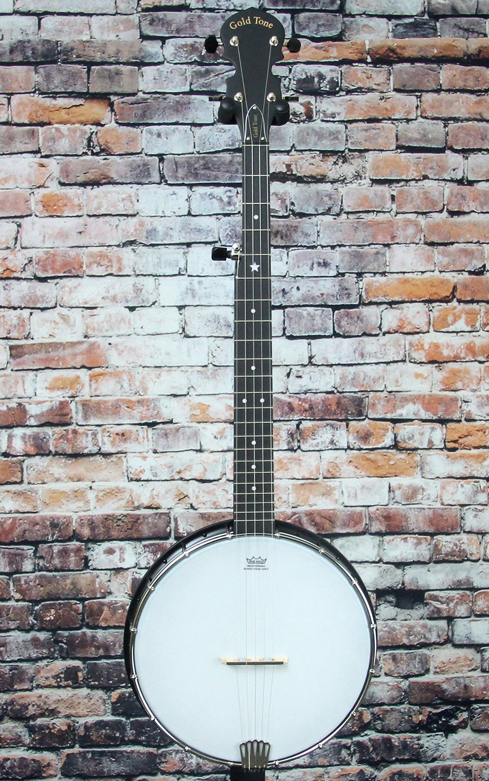GOLD TONE トラベル　バンジョー　AC-Traveler 5弦 AC-Traveler: Travel-Scale Composite 5-String Banjo with Gig