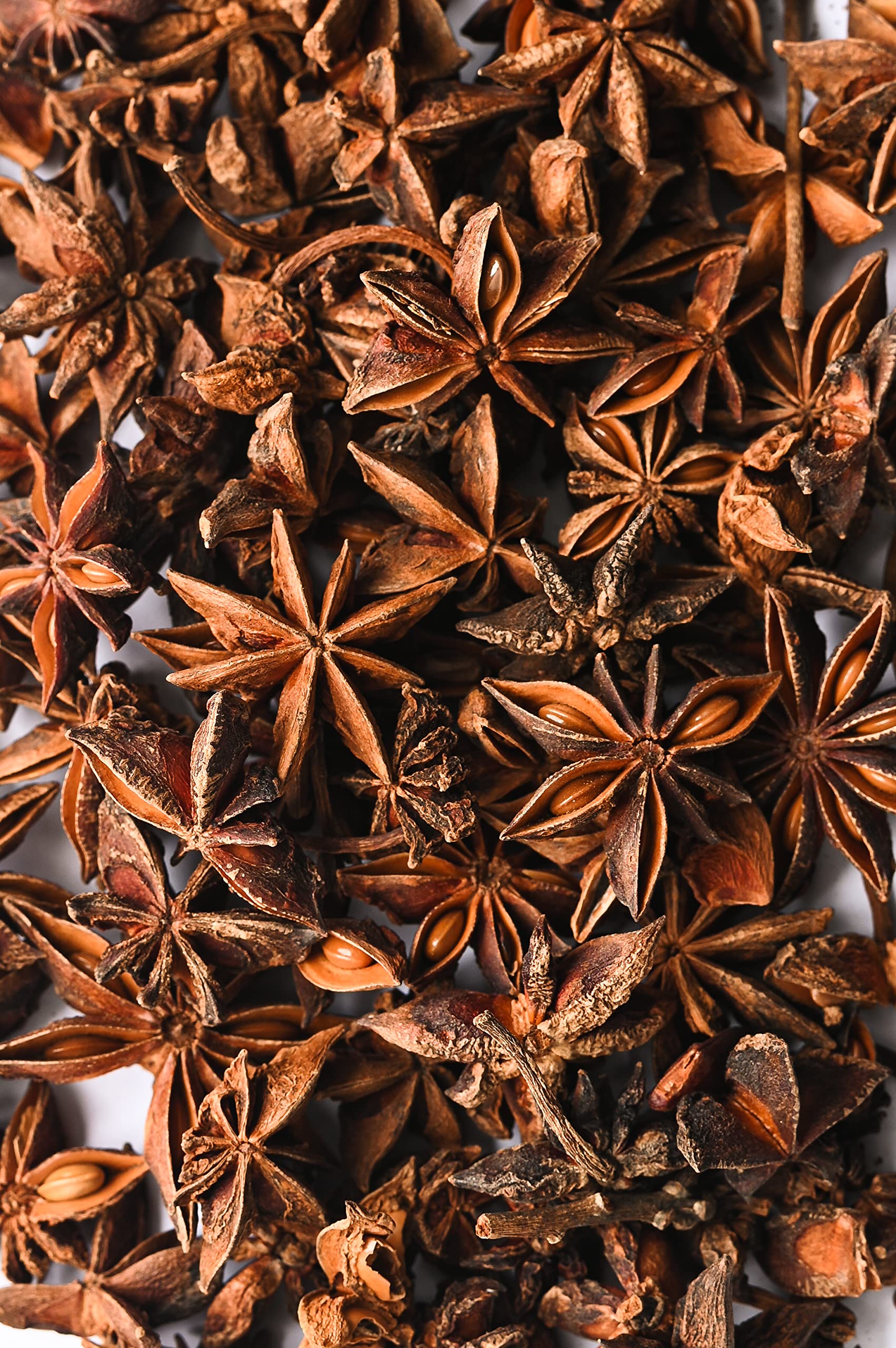 Biojoy BIO-Anis étoilé entière (500 g), thé d'anis, sans additifs (Illicium verum)