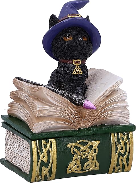 Nemesis Now Binx Small Witches Familiar Black Cat and Spellbook Figurine Box, Green, 11cm