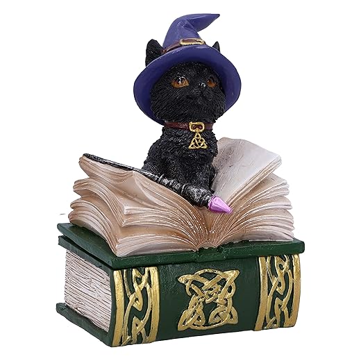 Nemesis Now Binx Small Box with Black Cat and Spellbook, Vinyl Resin, Green, 11 cm