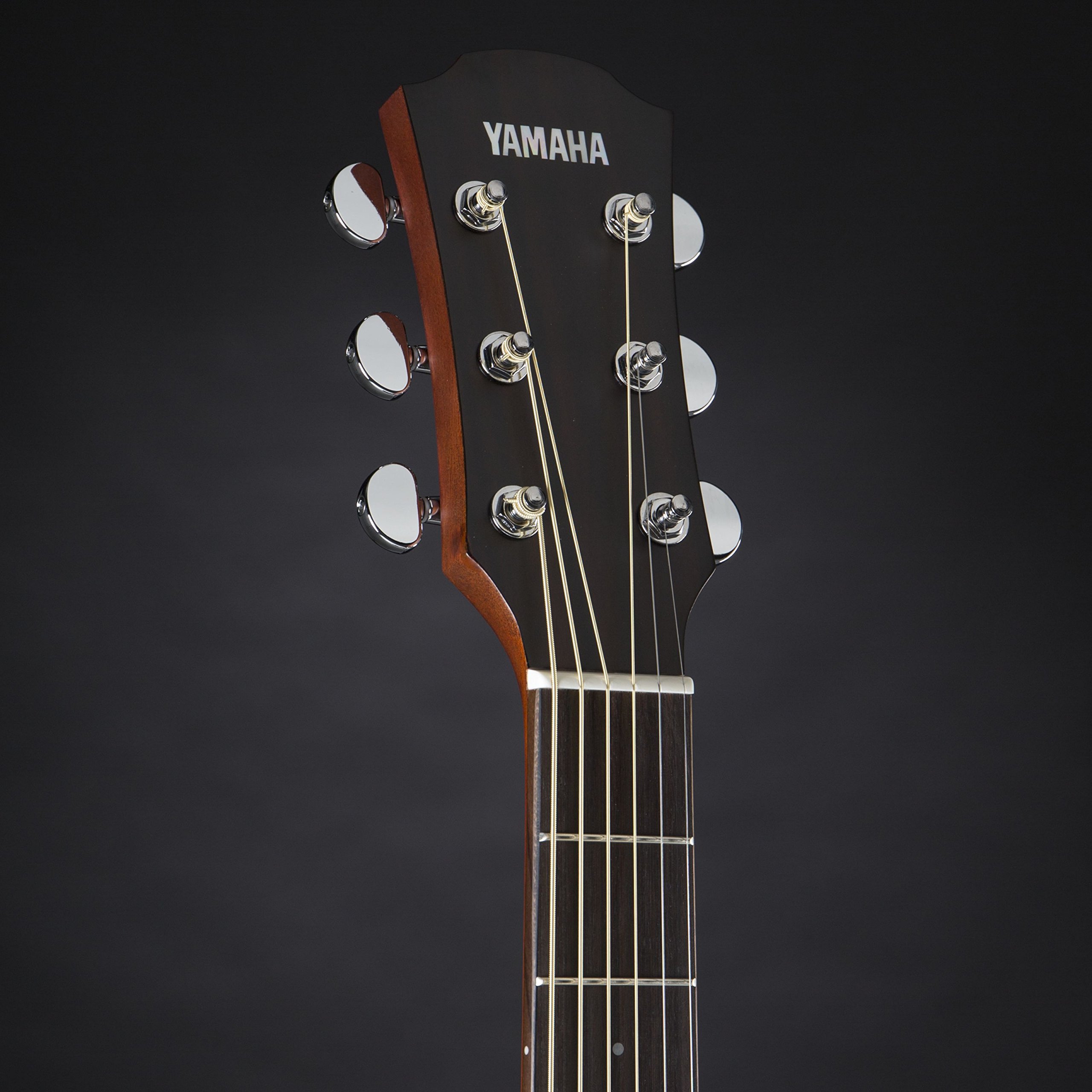 Amazon | ヤマハ YAMAHA エレアコギター AC1M VN | エレアコギター