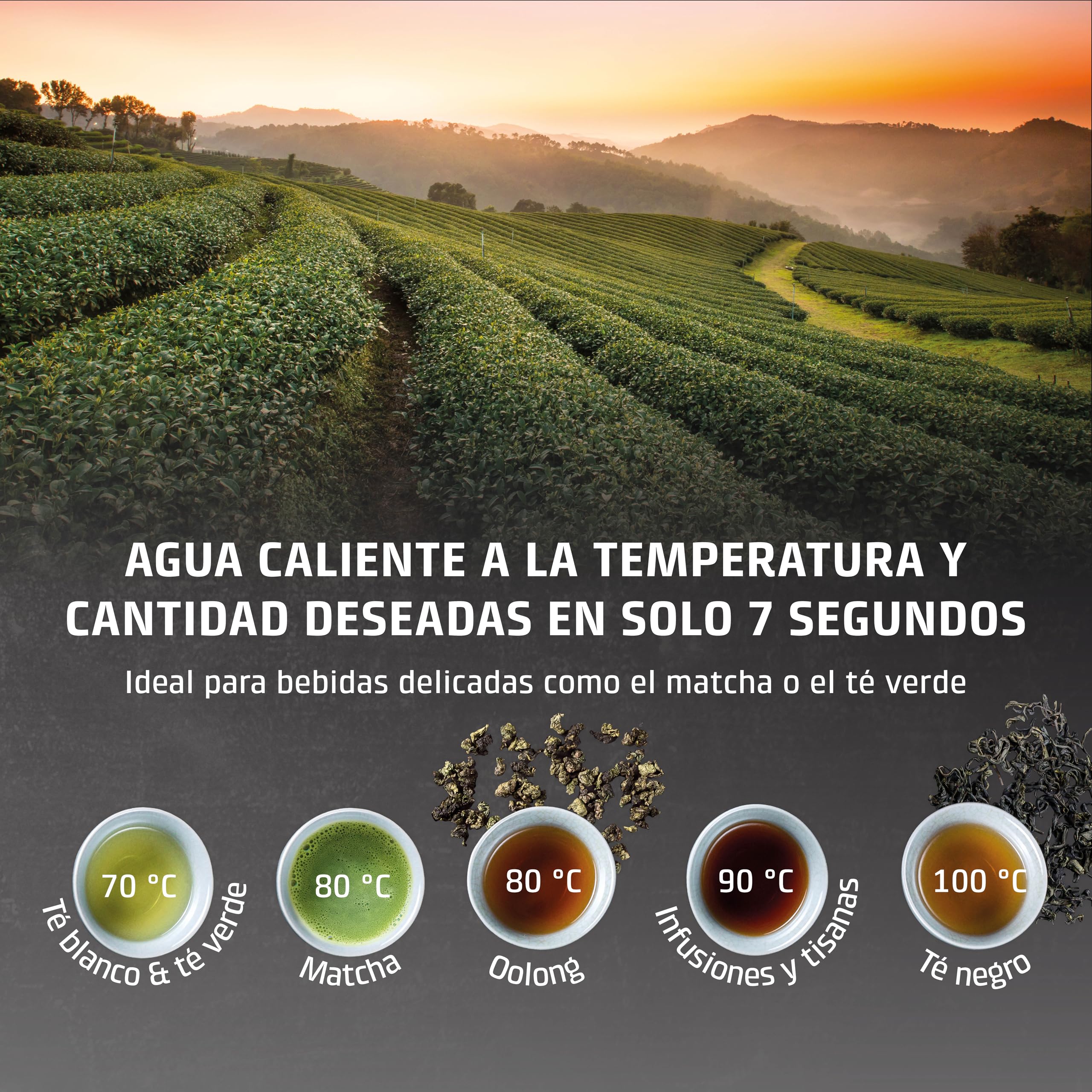 CASO HW 660 - dispensador de agua caliente 2,7L - hervidor de agua electrico - Agua caliente en segundos - temperatura 40°C a 100°C - 7 cantidades de salida - Filtro Antical y Anti Impurezas