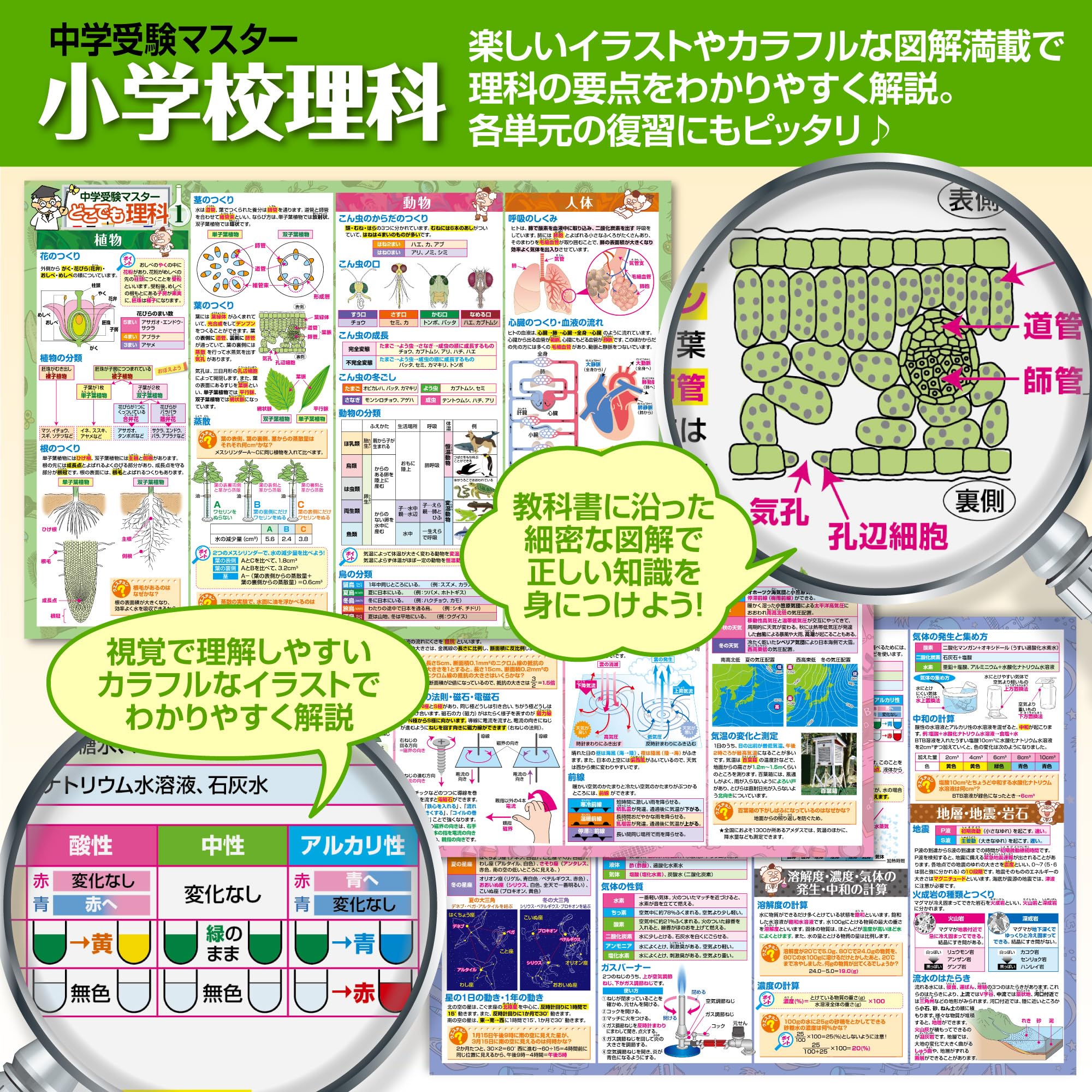 Amazon.co.jp: お風呂の学校 セット価格 中学受験 理科 ／ 公民 お風呂