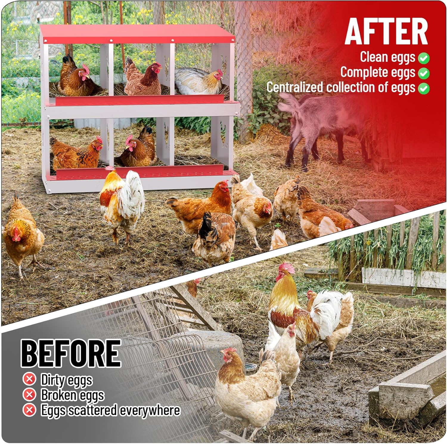 6/8/10 Holes Chicken Nesting Box Coop Chicken Egg Laying Boxes Egg Collection - Picture 69 of 85