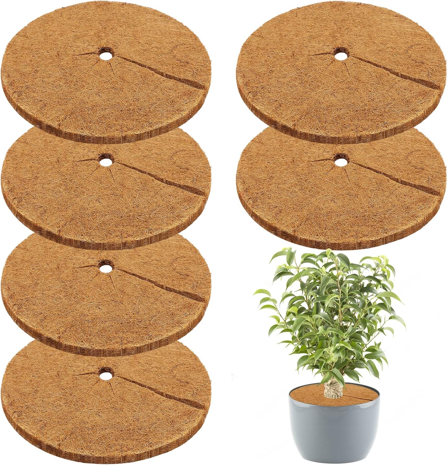 Legigo 6pcs 18" Dia Coconut Fibers Tree Mulch Ring