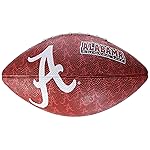 Rawlings NCAA Gridiron Junior Size Football, Southern Mississippi Golden Eagles