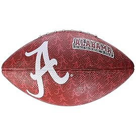 Rawlings NCAA Gridiron Junior Size Football, Southern Mississippi Golden Eagles