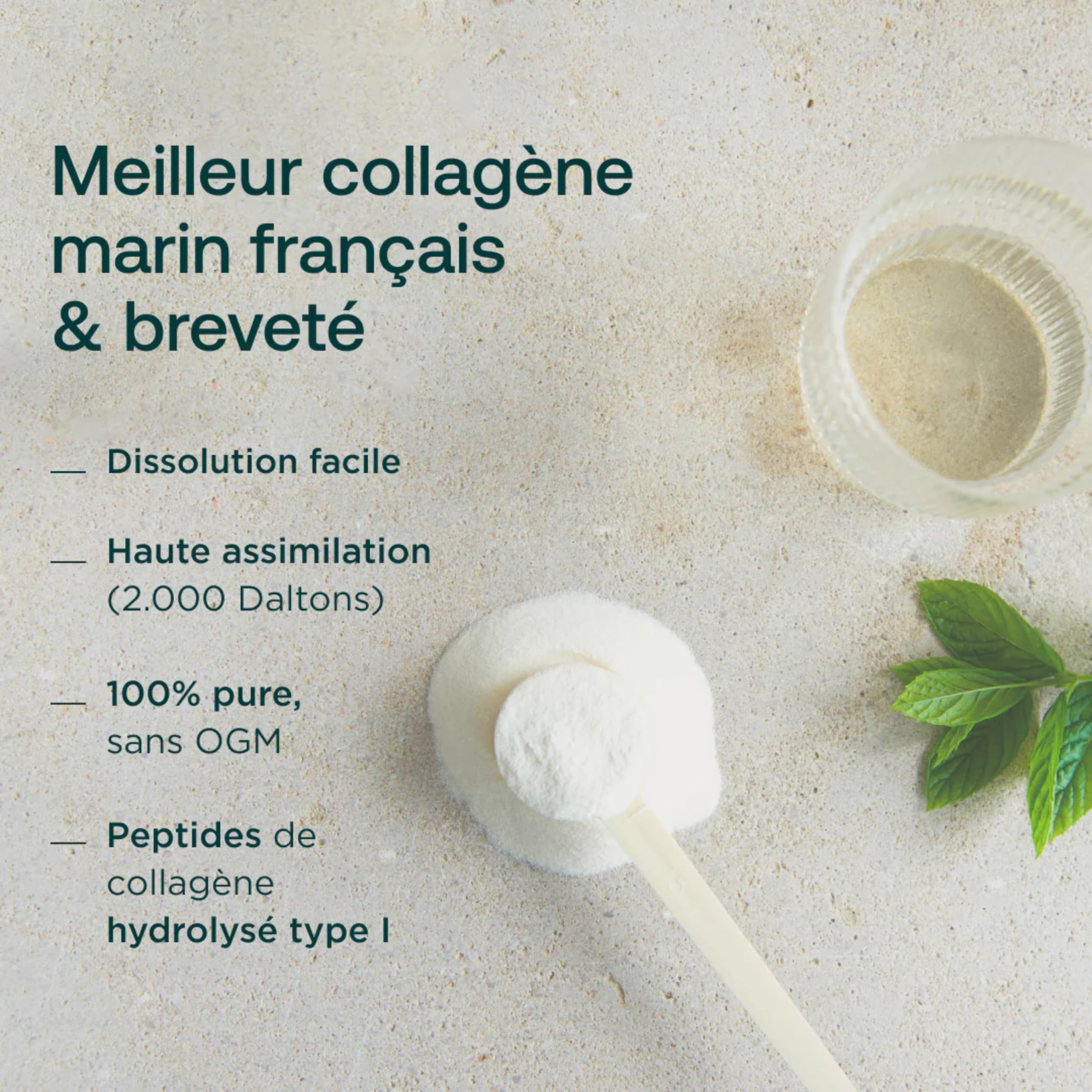 HUMBLE+ Pack Bien Vieillir 3 Mois - Collagène Naticol + Créatine - 2 kg | Peptides Marins & Monohydrate en Poudre - Programme sur Plusieurs Semaines - Complément Alimentaire - Marque Française