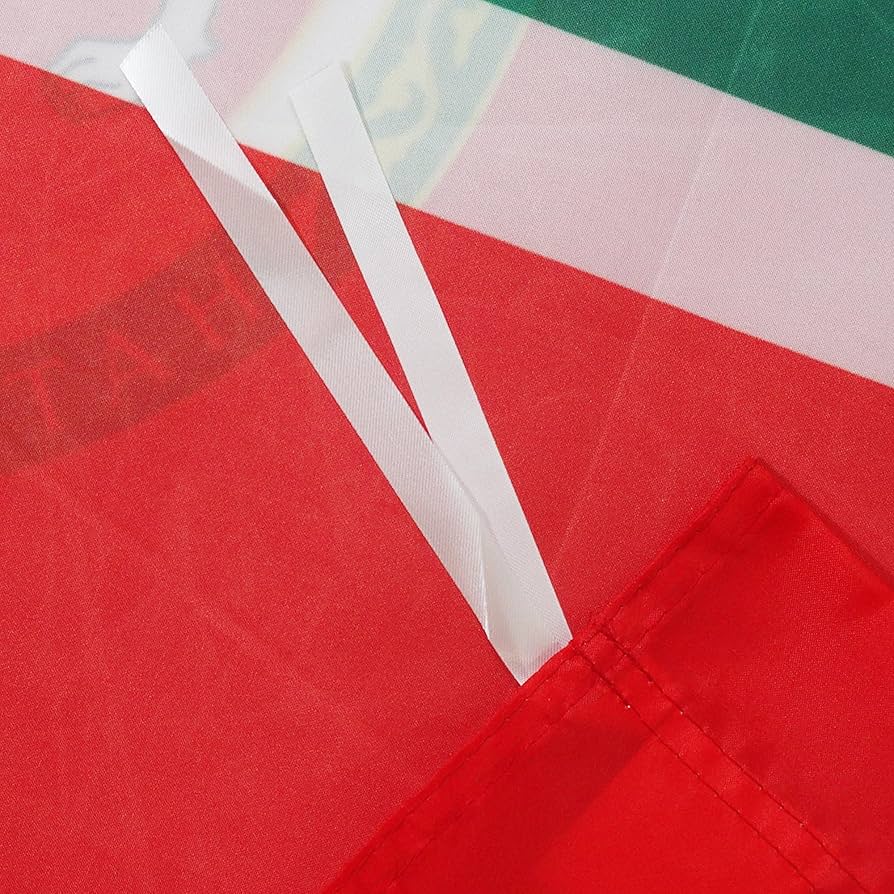 Amazon.co.jp: AZ 旗 タタールスタン共和国 国旗 2フィート x 3