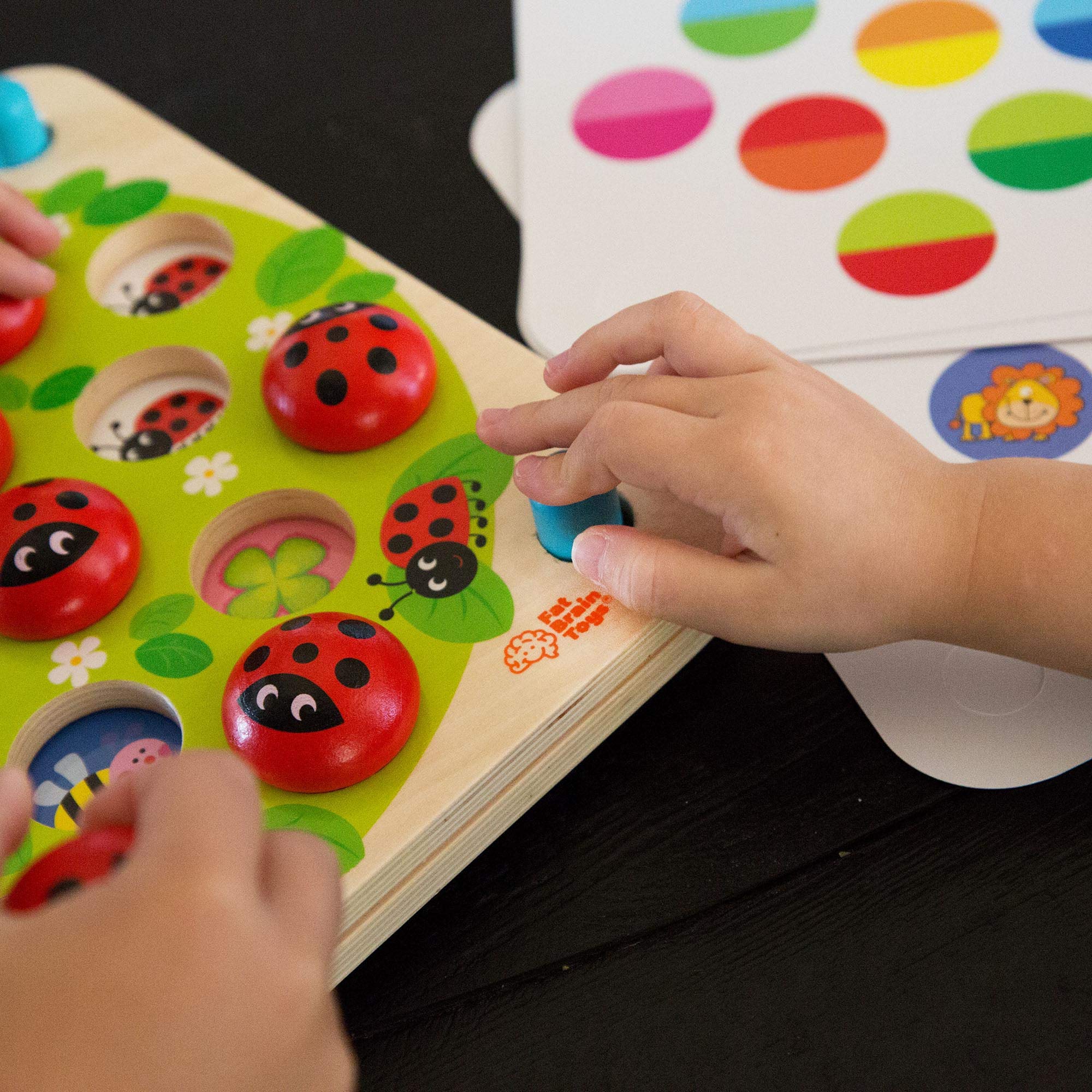 Fat Brain Toys Ladybug's Garden Memory Game Games for Ages 3 to 4 :  Amazon.sg: Toys