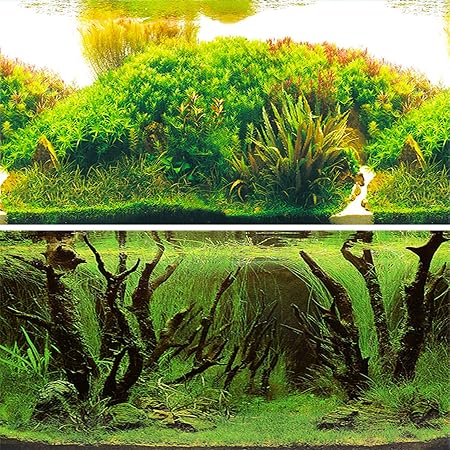 Amazon 水槽 魚タンク バックスクリーン 両面印刷 背景 水族館ポスター 水槽の飾り E 102x50cm Iriscargo バックグラウンド 背景 通販 Amazon 水槽 魚タンク バックスクリーン 両面印刷 背景 水族館ポスター 水槽の飾り E 102x50cm Iriscargo バックグラウンド 背景 通販