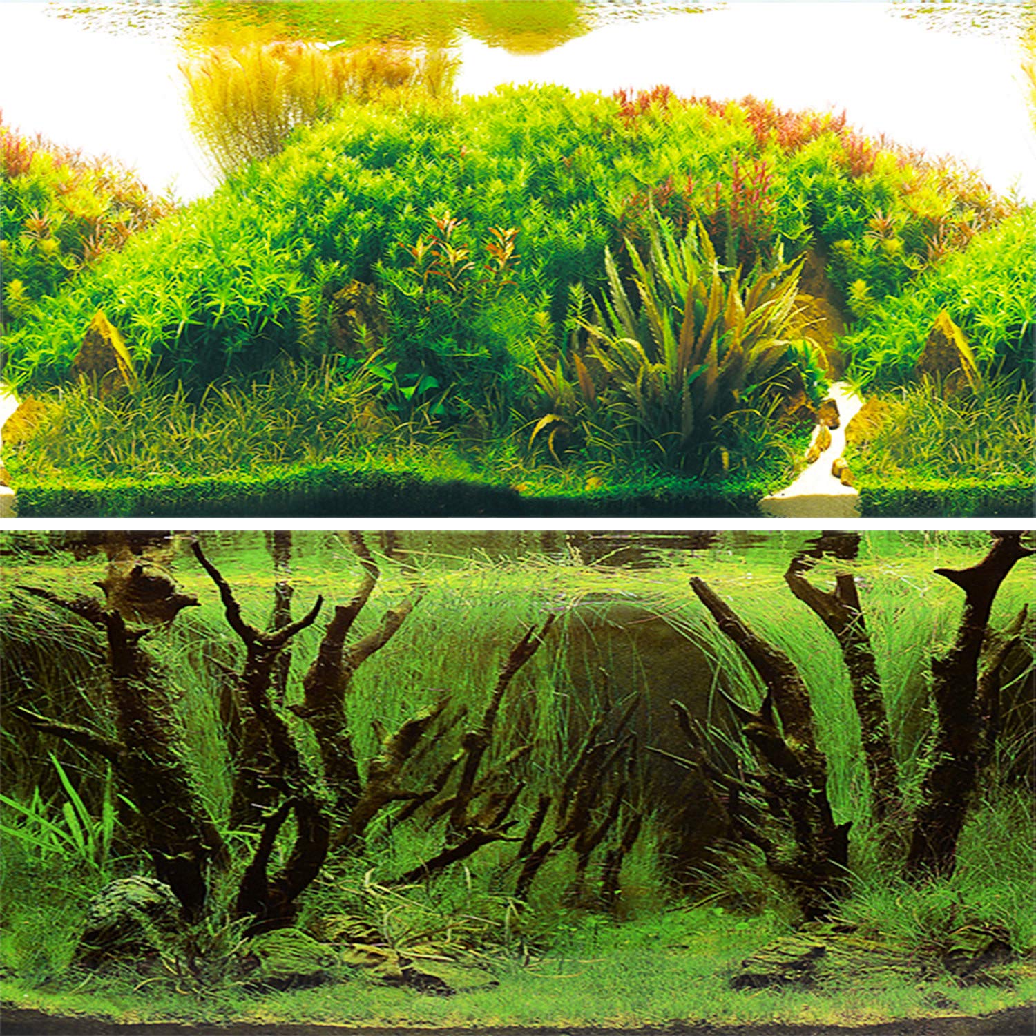 Amalong New Aquatic Grass, Underwater Forest Background Aquarium Background Decoration 25 * 15 (inches)