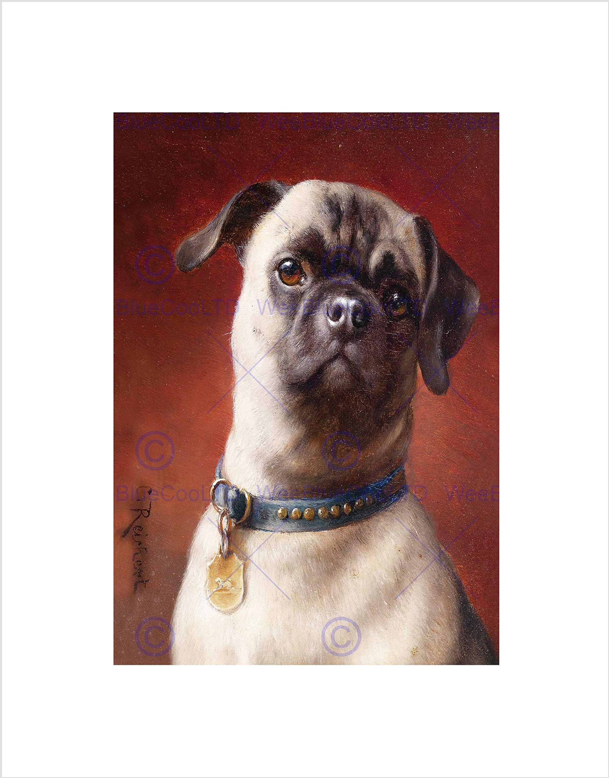 Wee Blue Coo Painting Animal Portrait Reichert Mops Puppy Pug Cute Wall Art Print