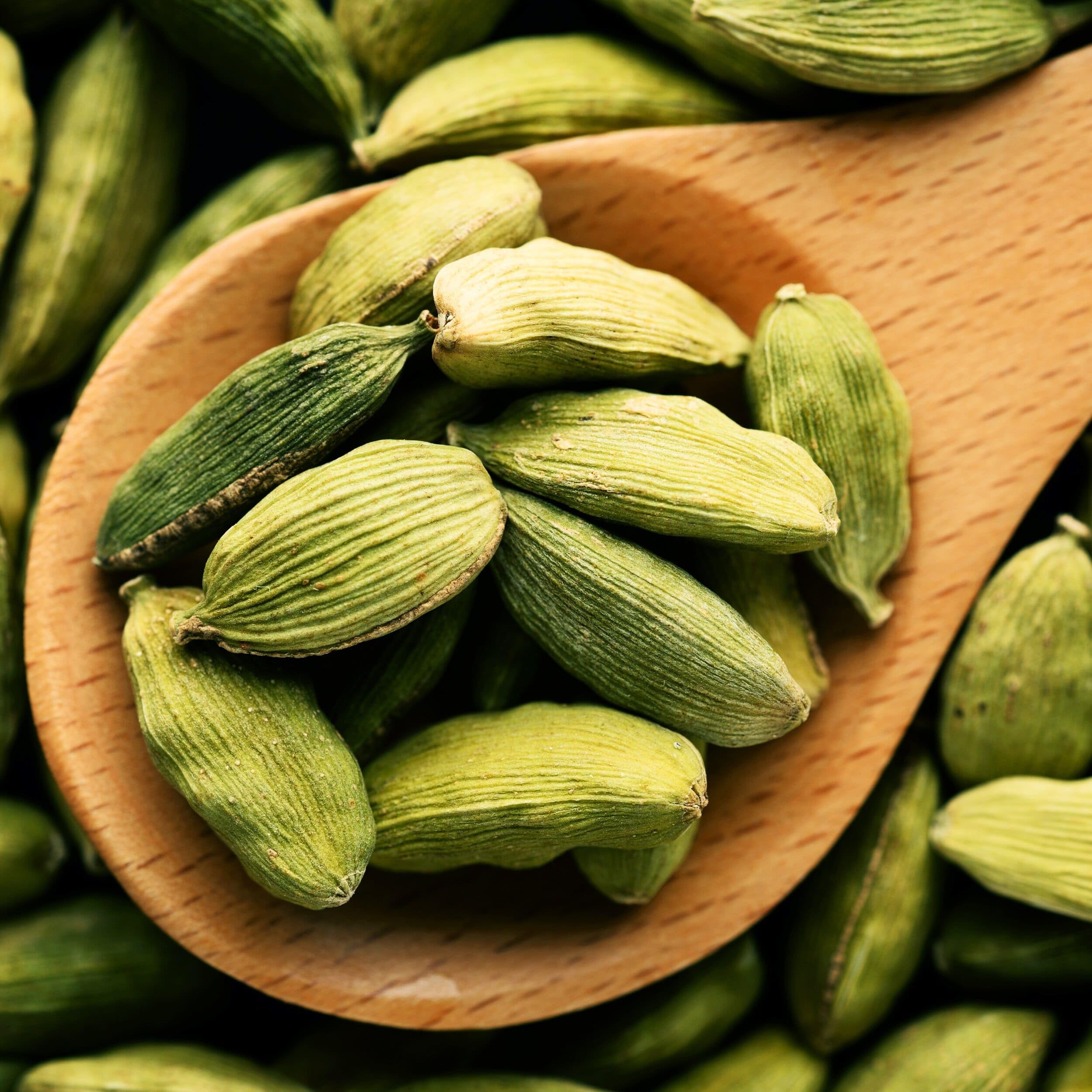 1kg Cardamome en Poudre - Cardamome Verte Moulue - Arôme & Goût Intense - Elettaria Cardamomum - 100% Naturel, Pur et Sans Additifs - TazarinLtd