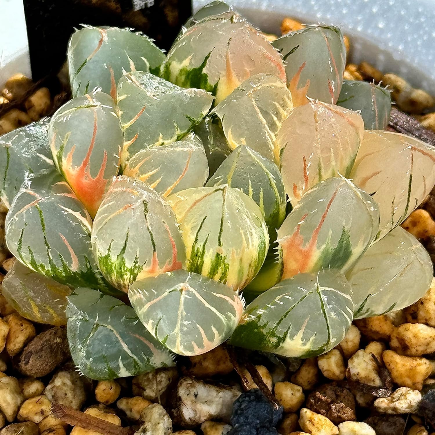 【専用】ビーズフラワー❋バラ、カーネ、ガーベラ❋ ビズフラワー］花束 バラとガーベラ バラの色 黄色 ガーベラの色