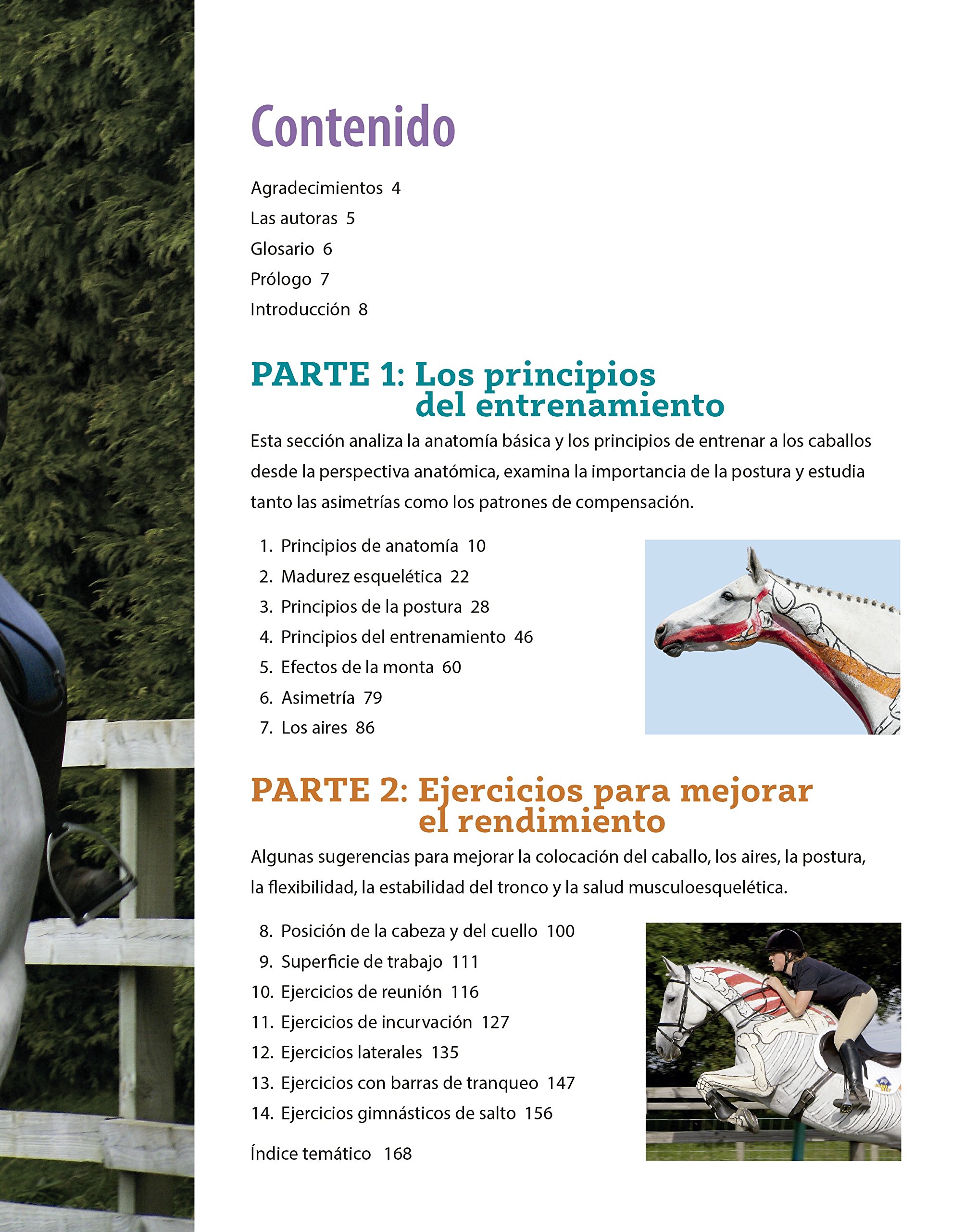 Postura Y Rendimiento. Guía Visual Para El Entrenamiento Del Caballo: Guía visual para el entrenamiento del caballo desde la perspectiva anatómica y biomecánica (HIPICA)