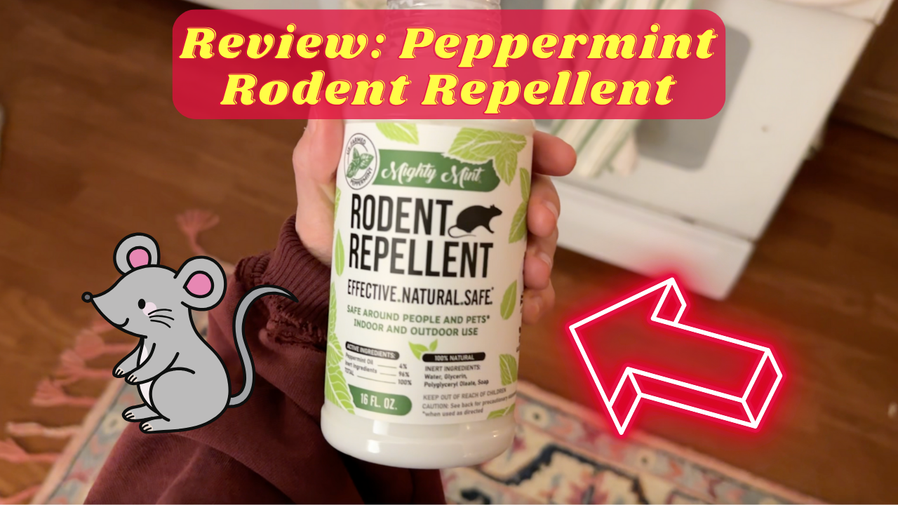 Watch Review& Peppermint Rodent Repellent on Amazon Live