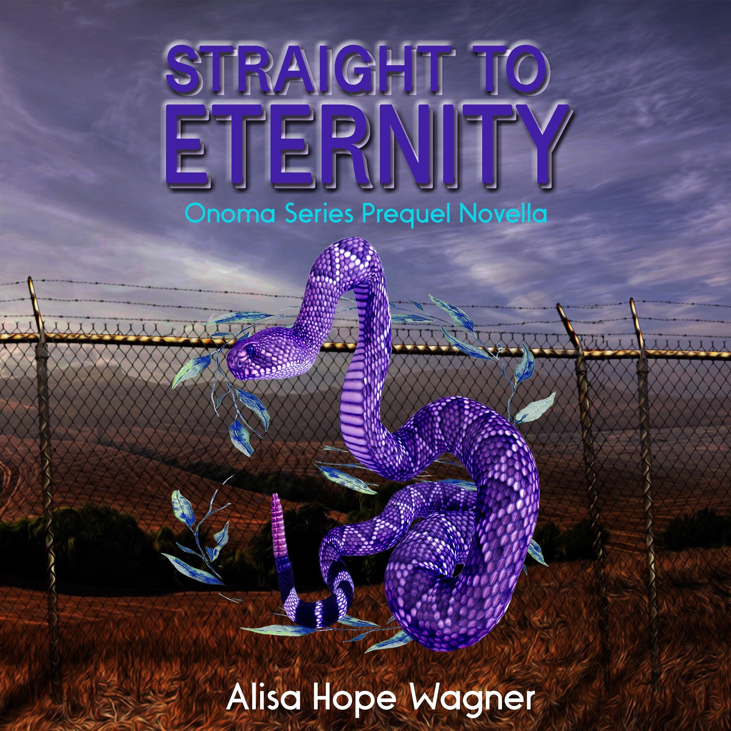 Cover art for Straight to Eternity