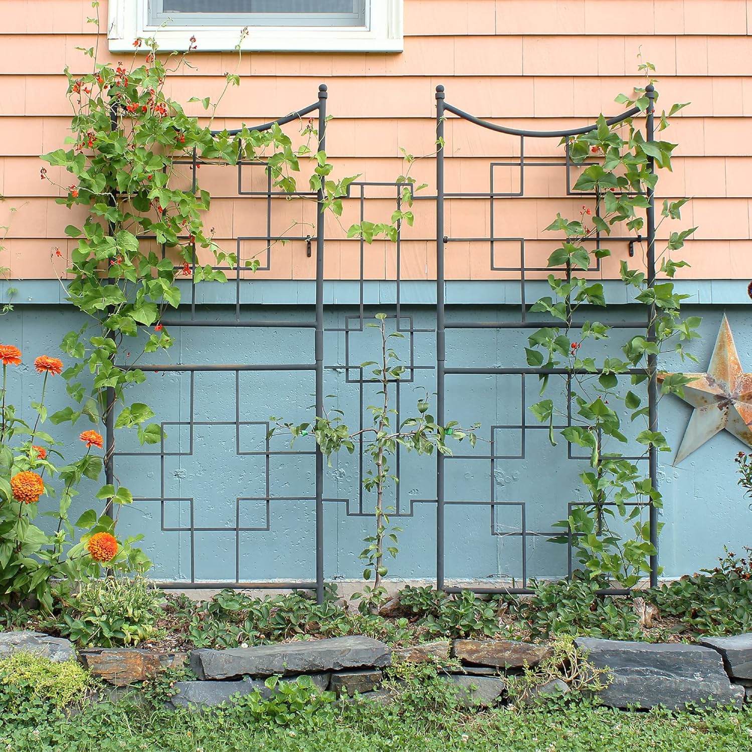 Minuteman International Square-On-Squares Trellis