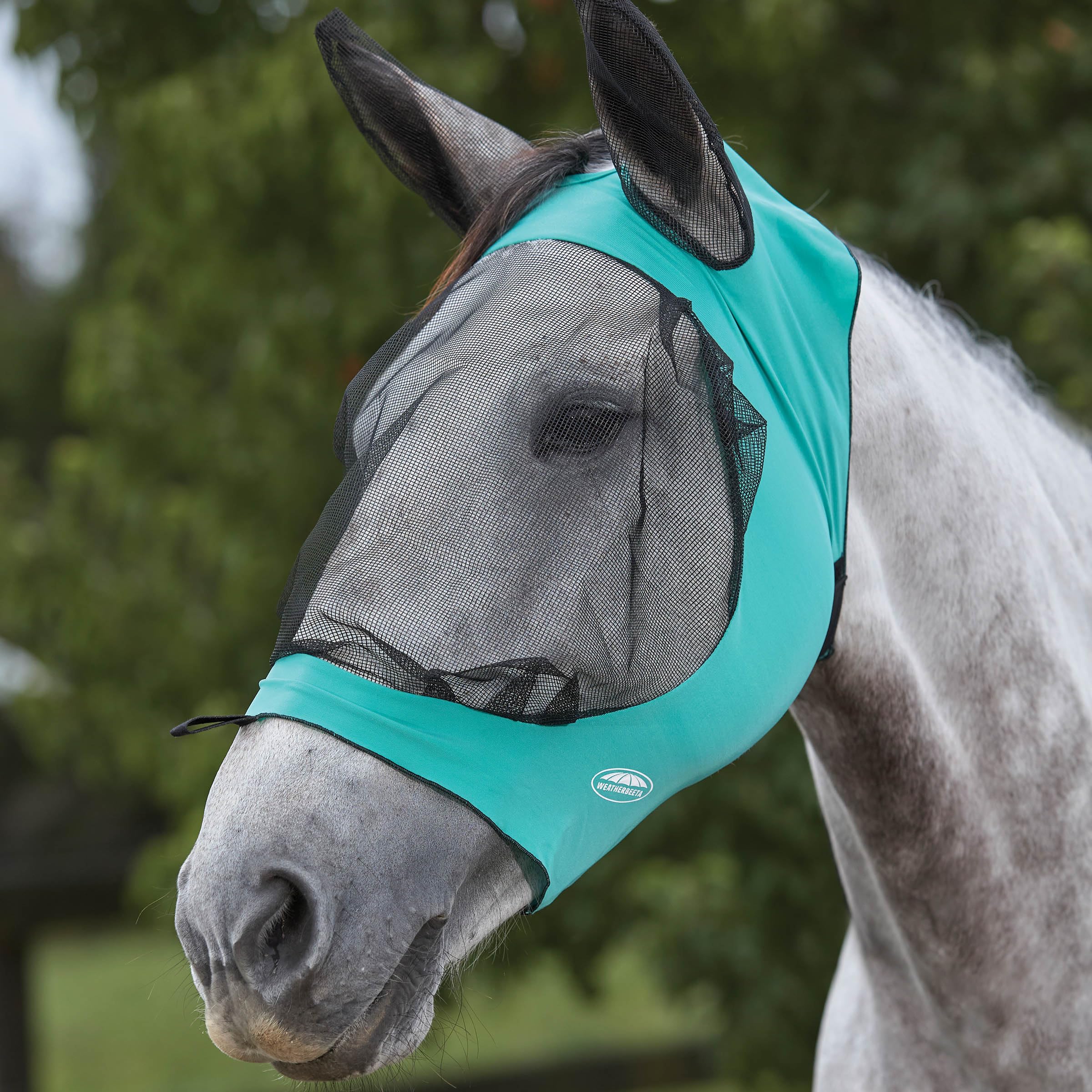 Oeillère pour chevaux anti-stress : calme pour Petit Poney Weatherbeeta