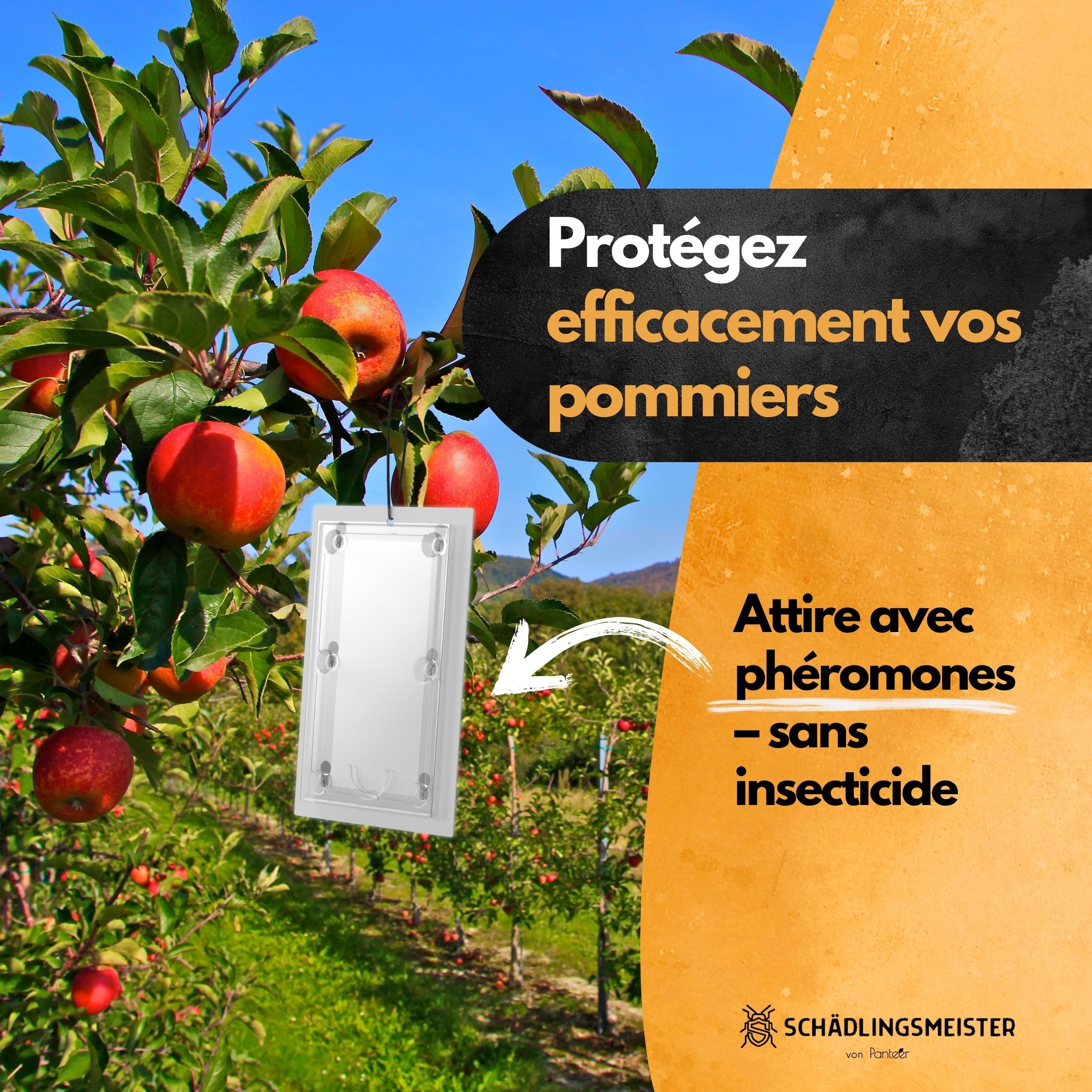 SCHÄDLINGSMEISTER® Lot de 3 pièges à carpocapse de pomme, avec ficelle, piège à phéromones pour lutter contre le carpocapse du pommier, lutte contre le carpocapse du pommier, lutte contre les