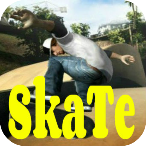 Skate Board Trivia
