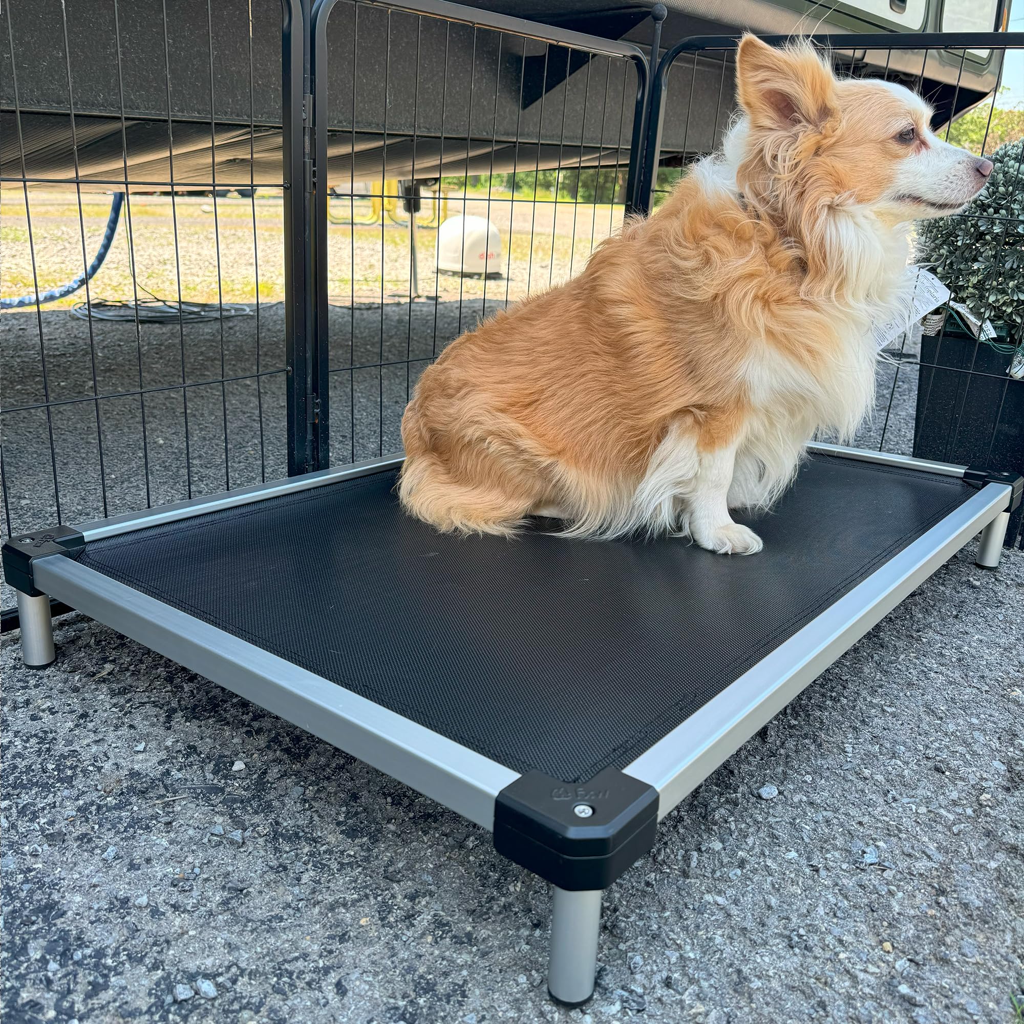 FXW TitanNest Cooling Chew-Proof Elevated Dog Bed, Washable Raised Cot for Outdoor/Camping/Indoor Use, Waterproof & Durable Pet Bed for Medium and Large Dogs, 42-Inch, Black