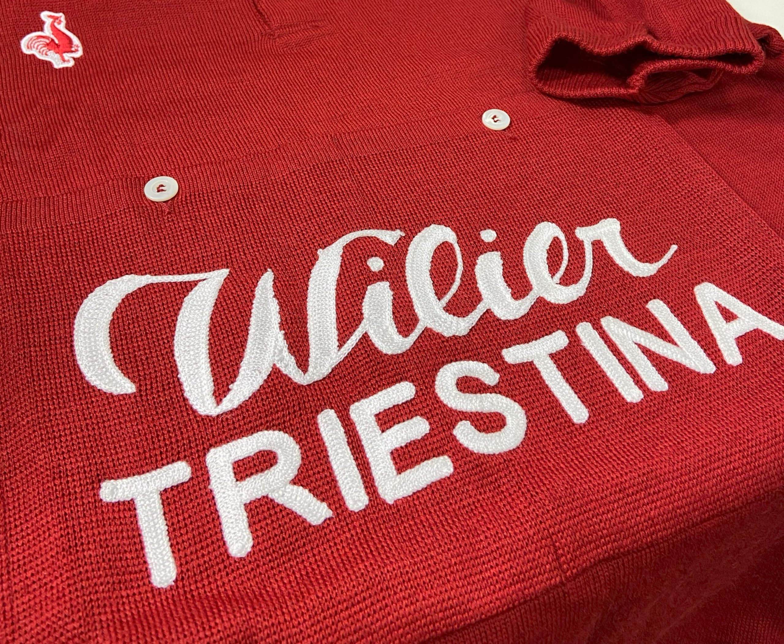 Amazon.co.jp: [デマルキ] サイクルジャージ WILIER 1951 ウール