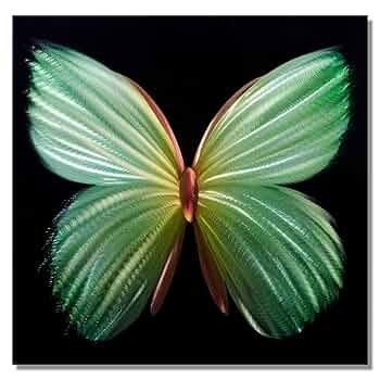 FANTASTICS アプグレ グッズ BUTTERFLY EFFECT グッズビジュアル解禁!!】『FANTASTICS LIVE TOUR 2025