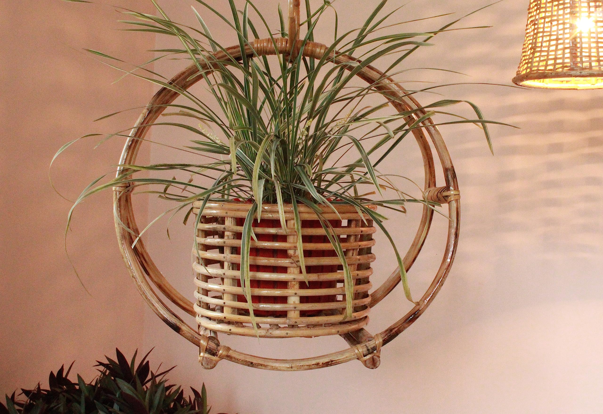 ZILVER: Living with Nature Cane Hanging Handcrafted Planter Varnish Brown 1 Pc (B0C9V62381) Amazon Price History, Amazon Price Tracker